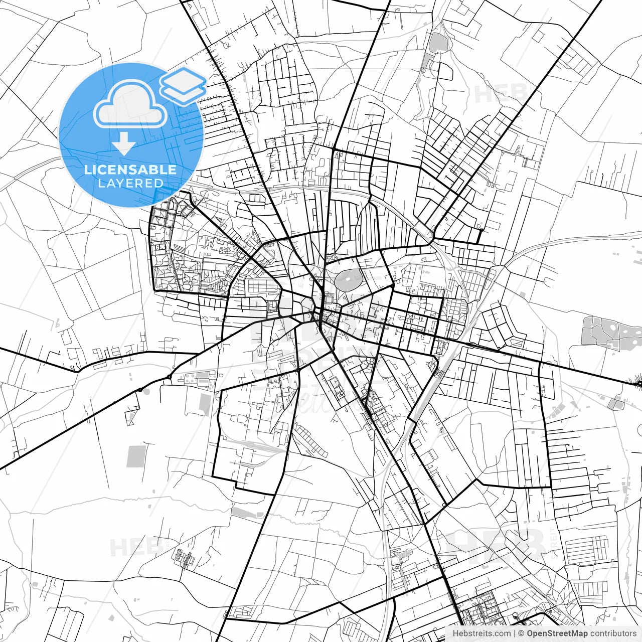 Layered PDF map of Zgierz, Łódź, Poland