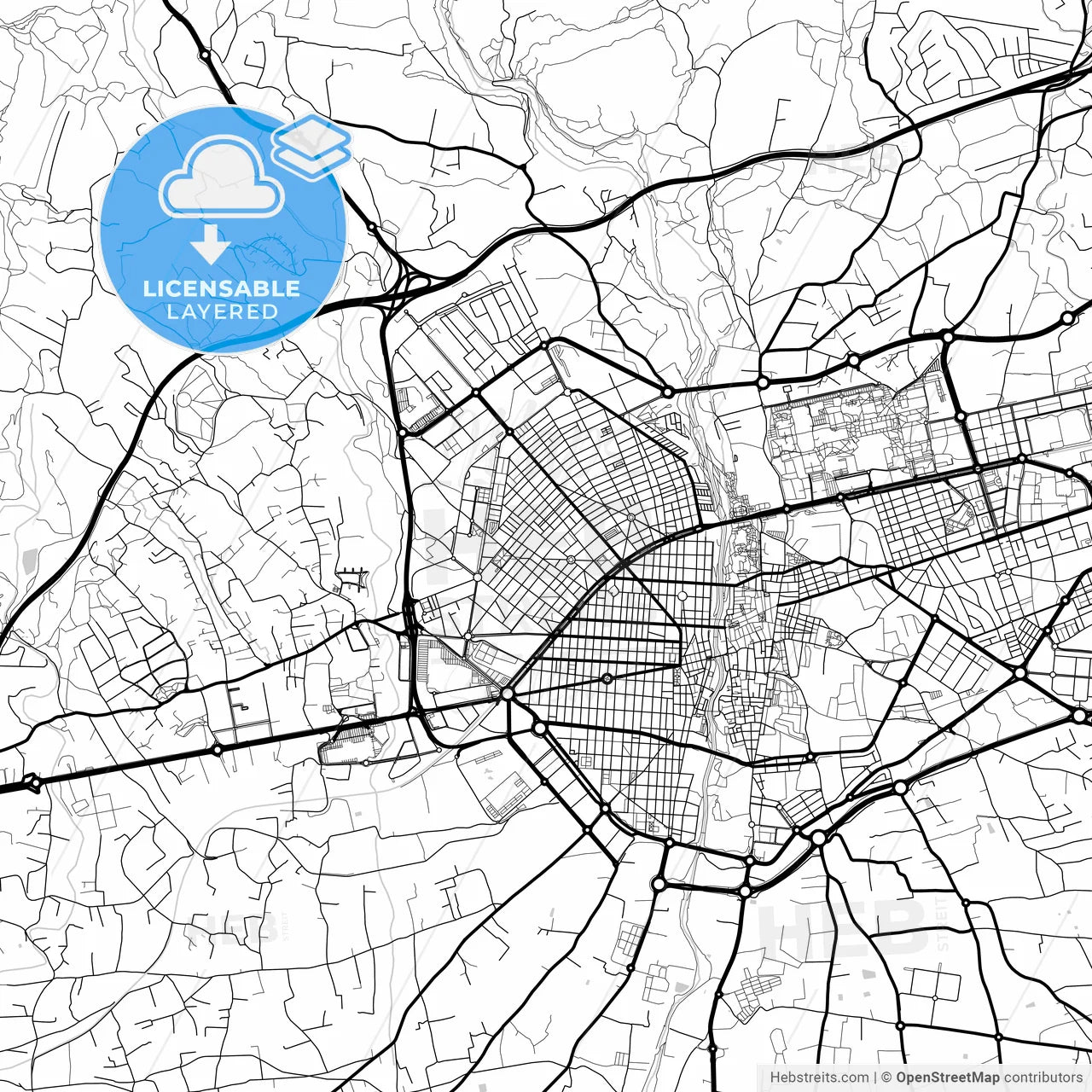 Layered PDF map of Elche, Alicante, Spain