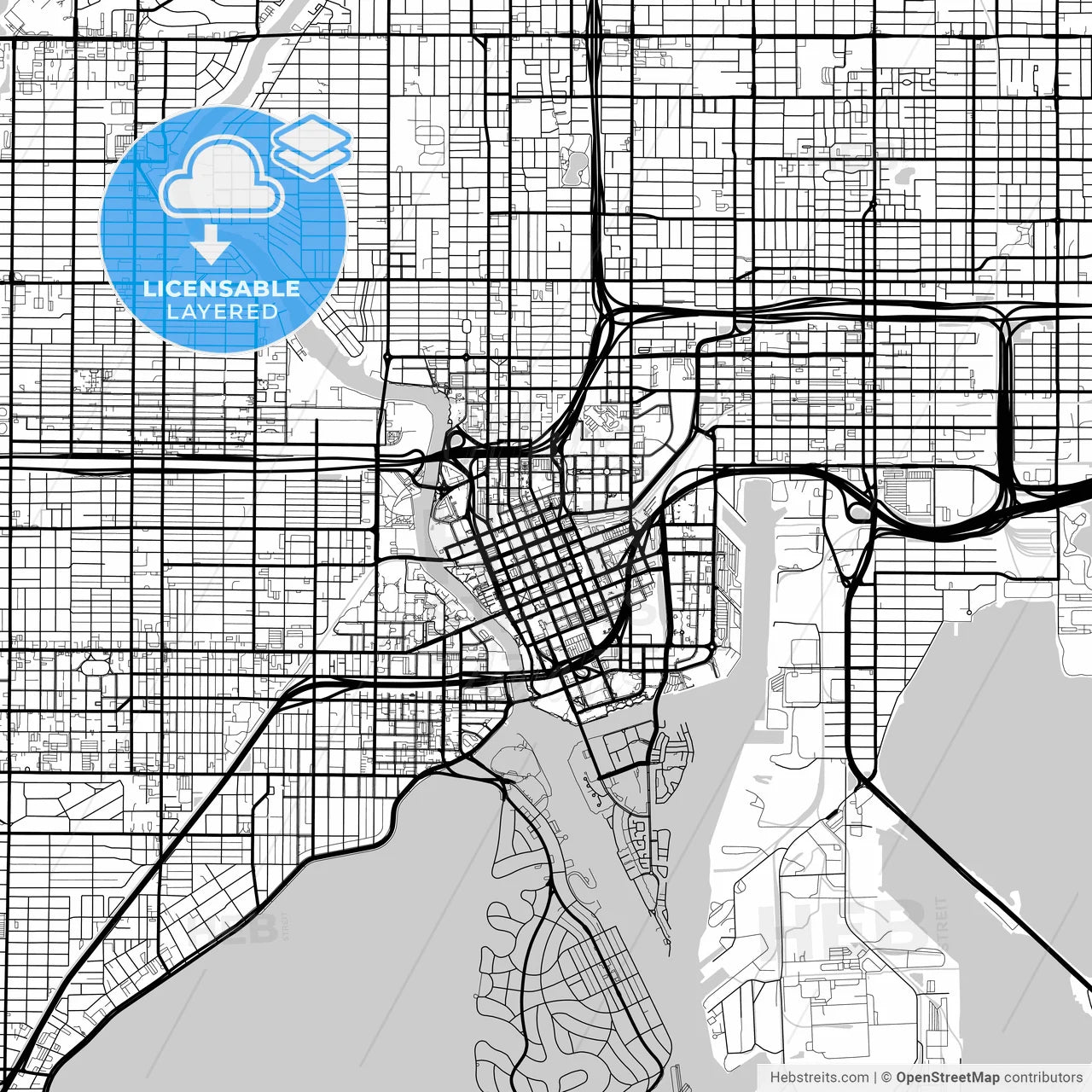 Layered PDF map of Tampa, Florida, United States