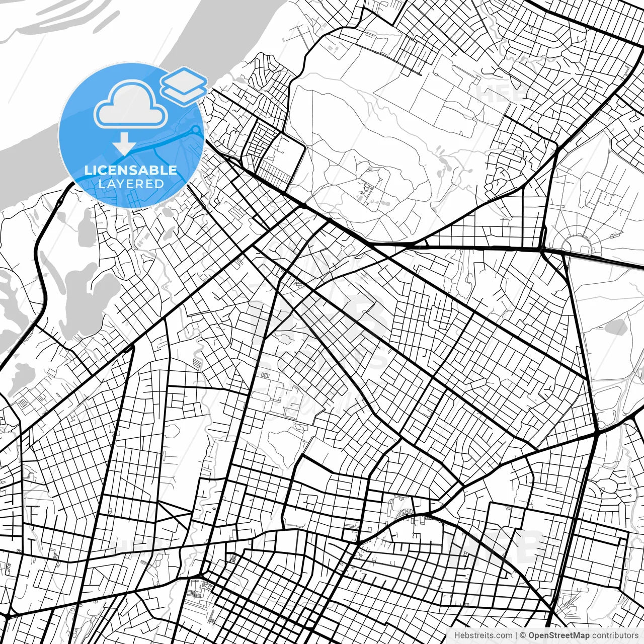 Layered PDF map of Asuncion, Paraguay