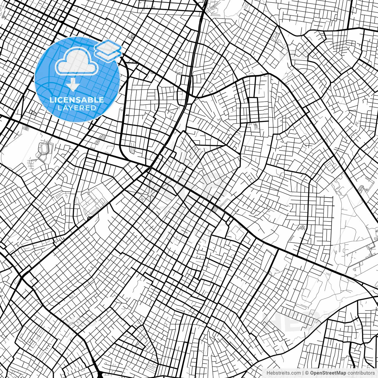 Layered PDF map of Fernando de la Mora, Paraguay