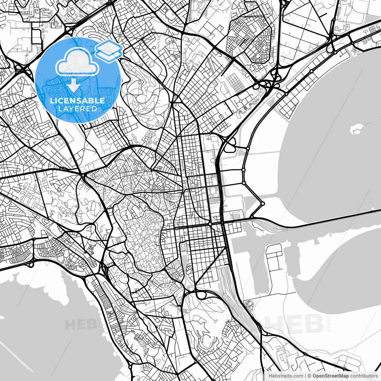 Layered PDF map of Tunis, Tunisia