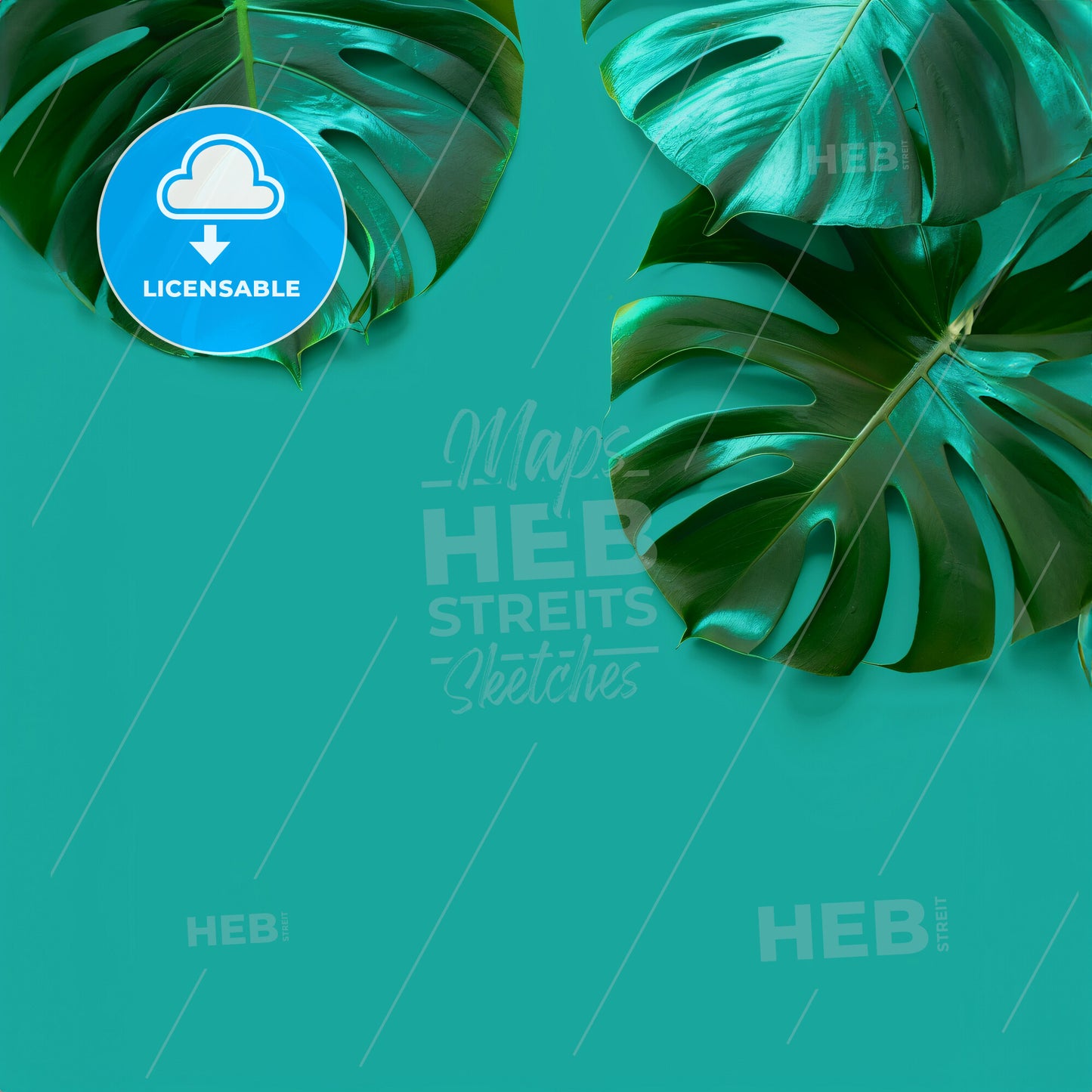 , A solid turquoise single colour background - A group of green leaves