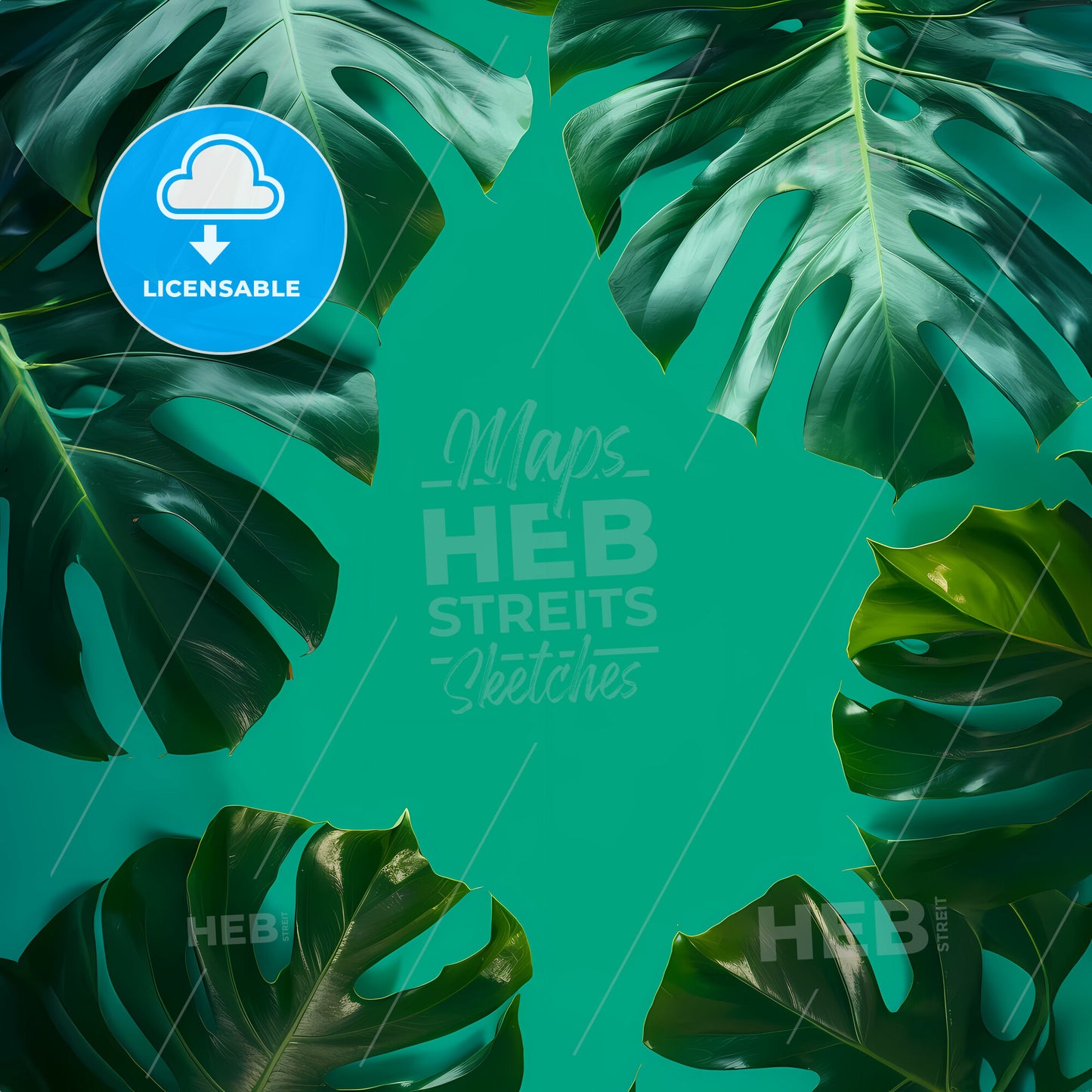 , A solid turquoise single colour background - A group of leaves on a blue background