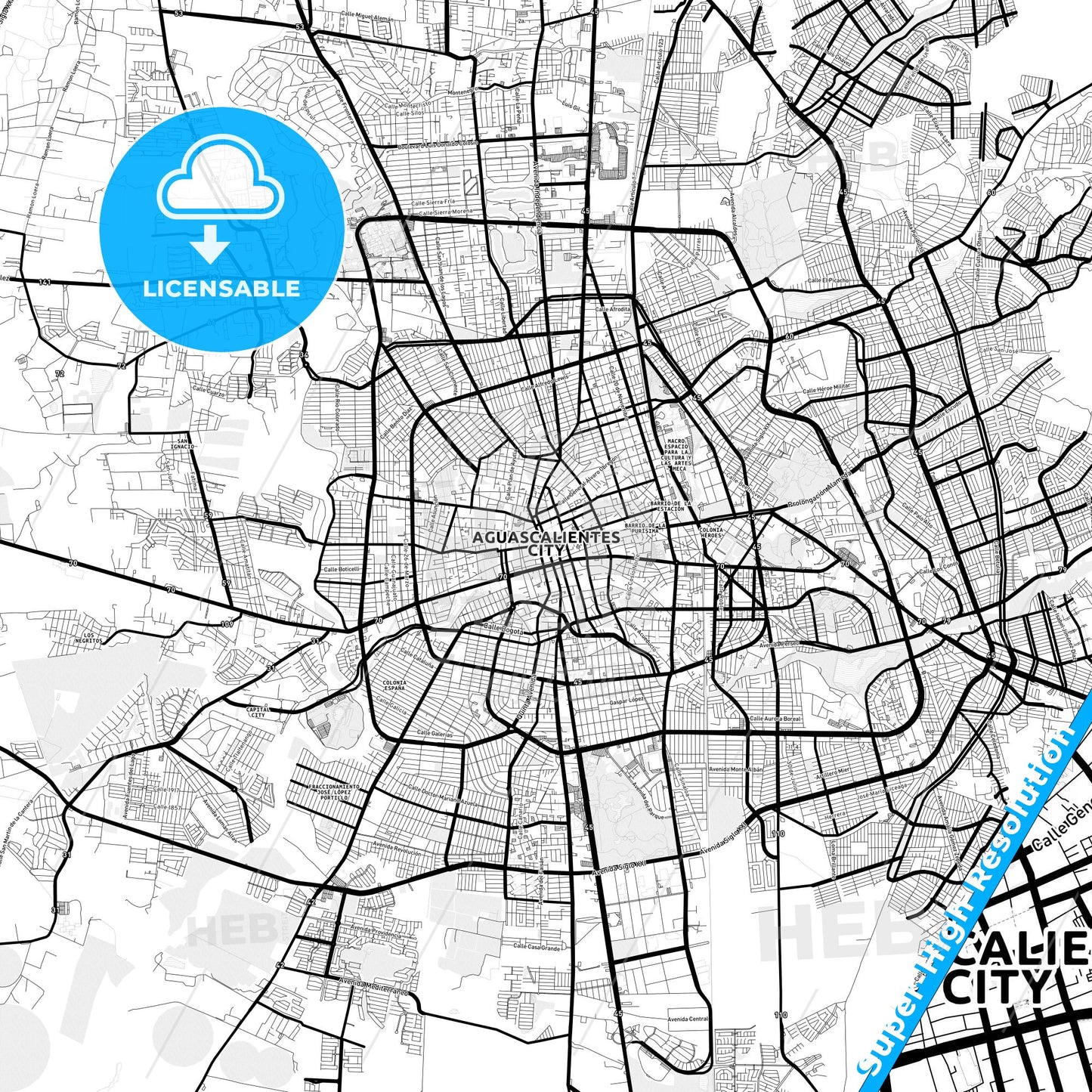 Aguascalientes, Mexico Light Map with Street Names, City Names, and Districts