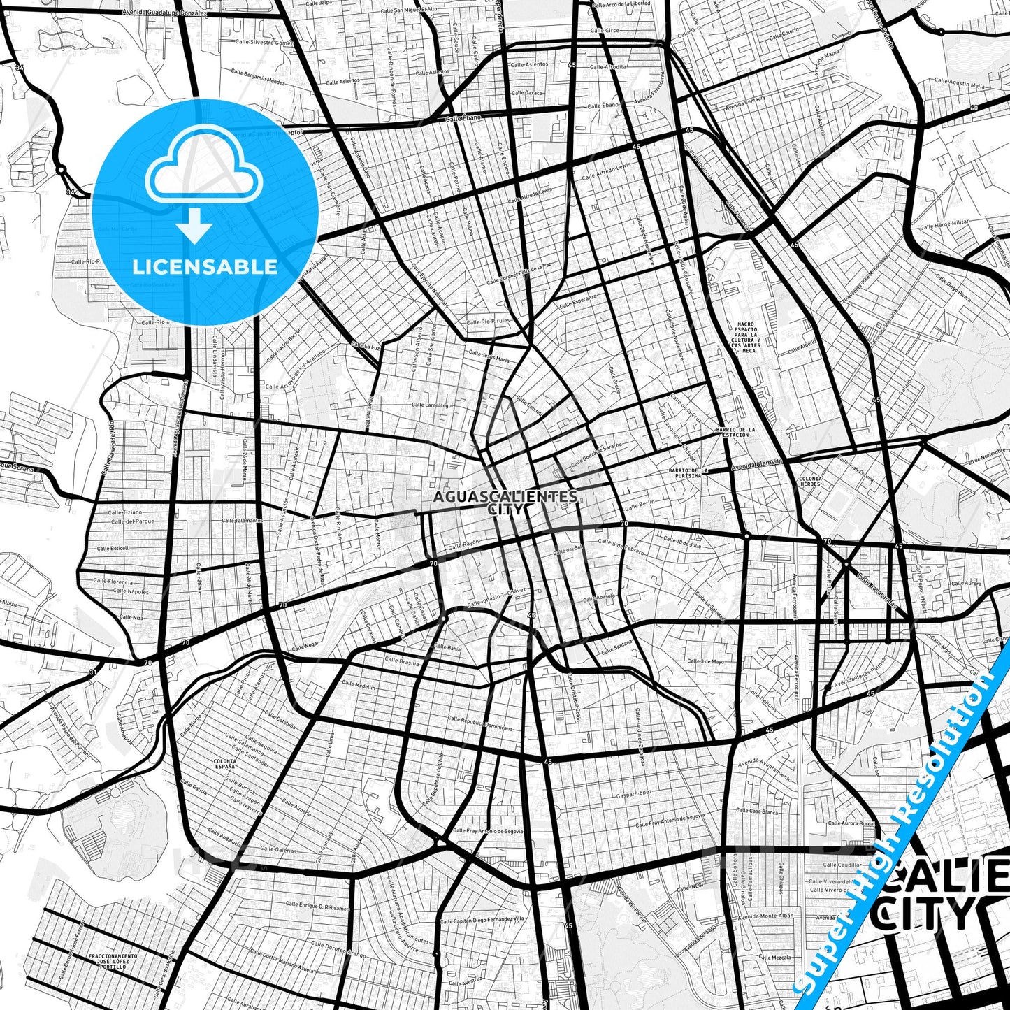 Aguascalientes, Mexico Light Map with Street Names, City Names, and Districts