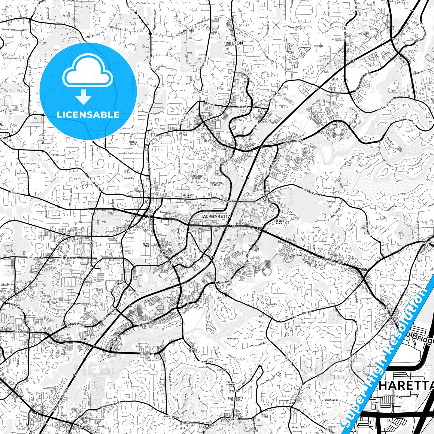 Alpharetta, Georgia Light Map with Street Names, City Names, and Districts