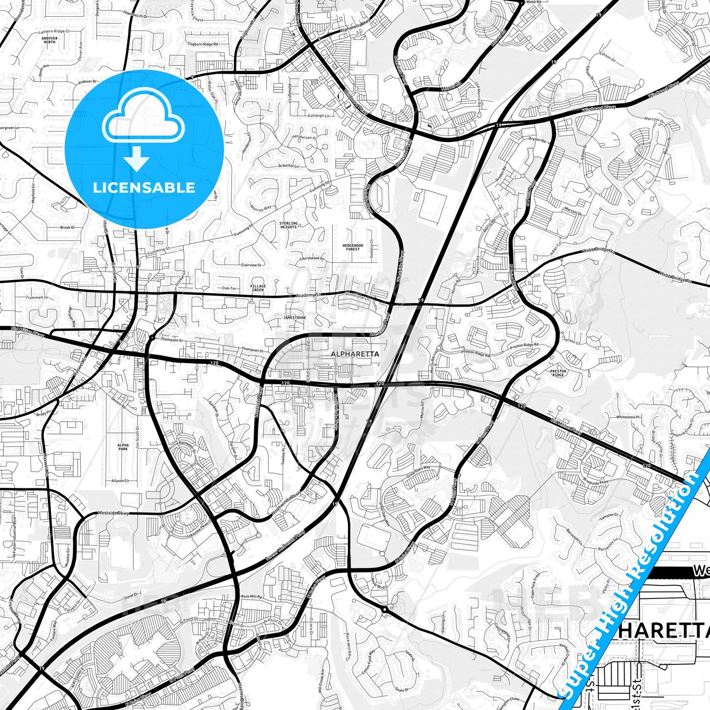 Alpharetta, Georgia Light Map with Street Names, City Names, and Districts