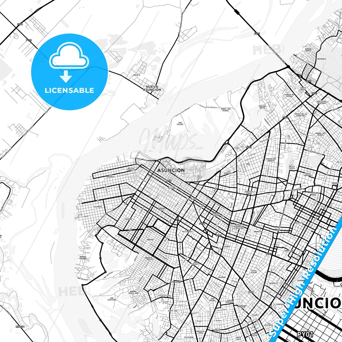 Asuncion, Paraguay Light Map with Street Names, City Names, and Districts