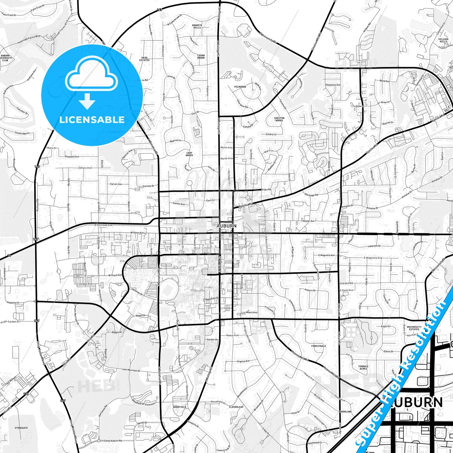 Auburn, Alabama Light Map with Street Names, City Names, and Districts