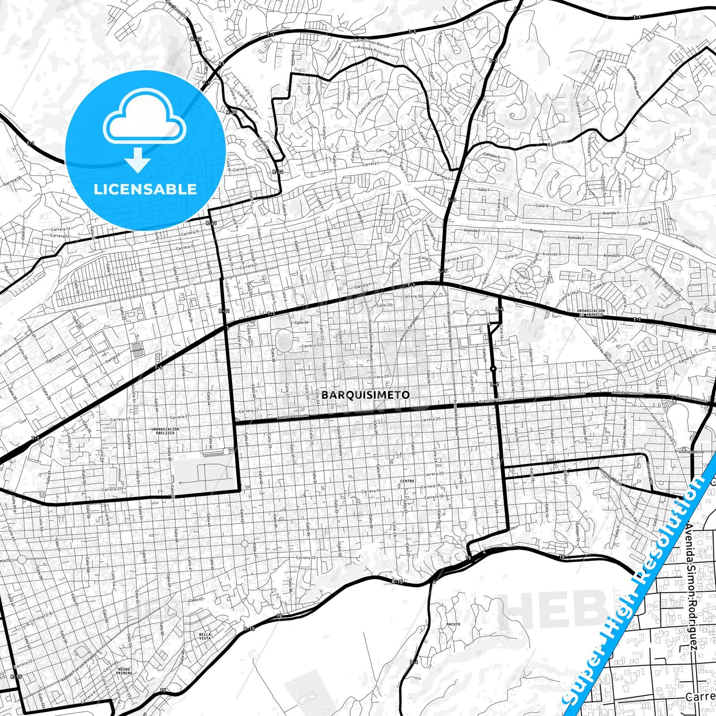Barquisimeto, Venezuela Light Map with Street Names, City Names, and Districts