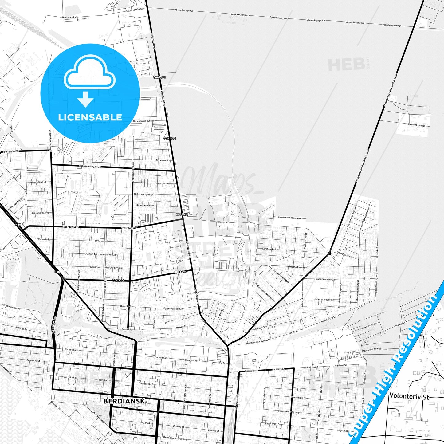 Berdiansk, Ukraine Light Map with Street Names, City Names, and Districts