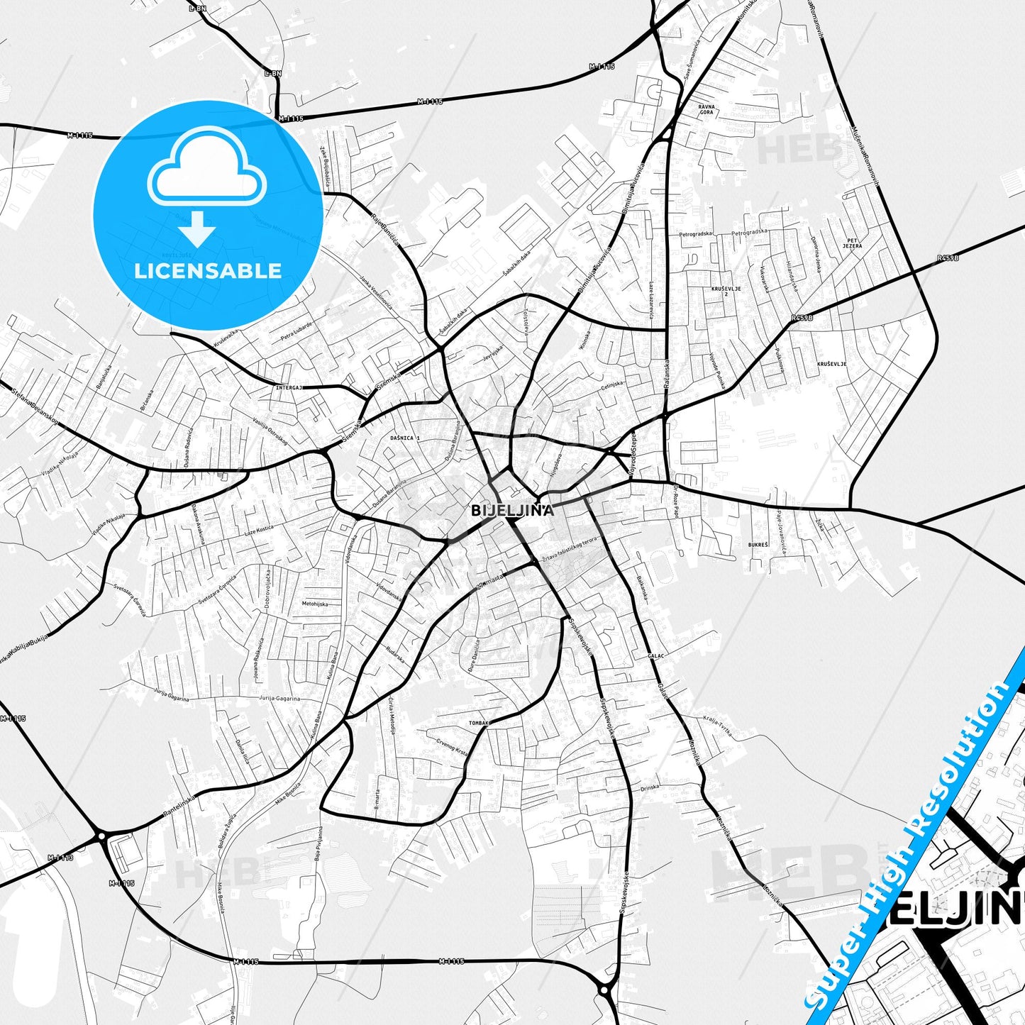 Bijeljina, Bosnia and Herzegovina Light Map with Street Names, City Names, and Districts