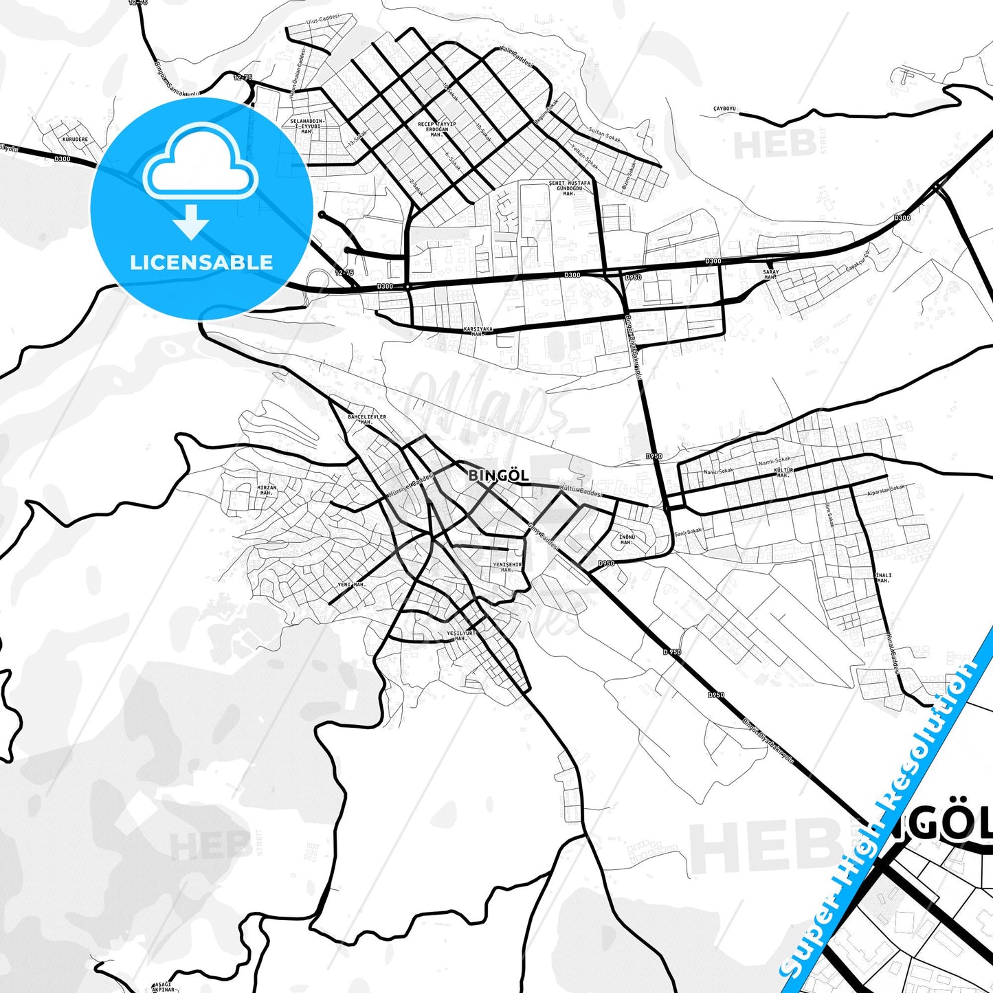 Bingöl, Turkey Light Map with Street Names, City Names, and Districts