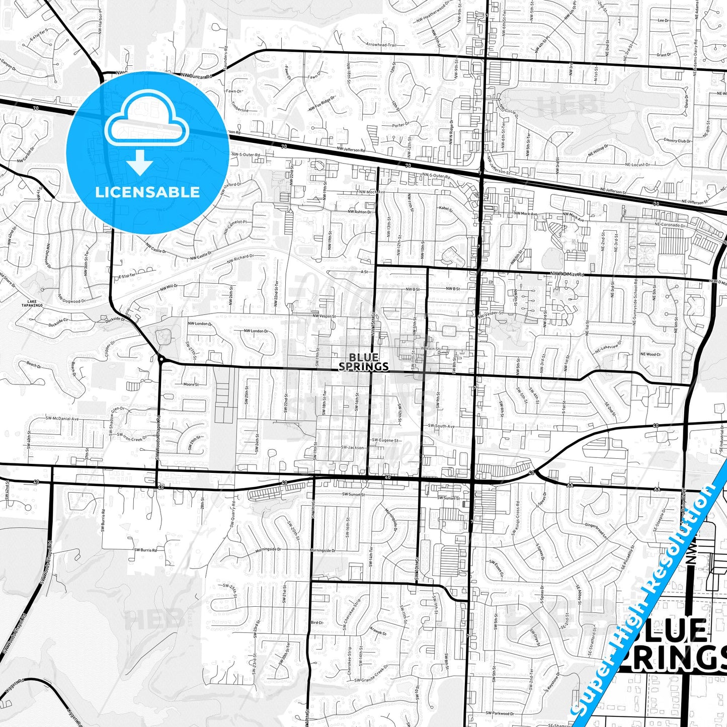 Blue Springs, Missouri Light Map with Street Names, City Names, and Districts