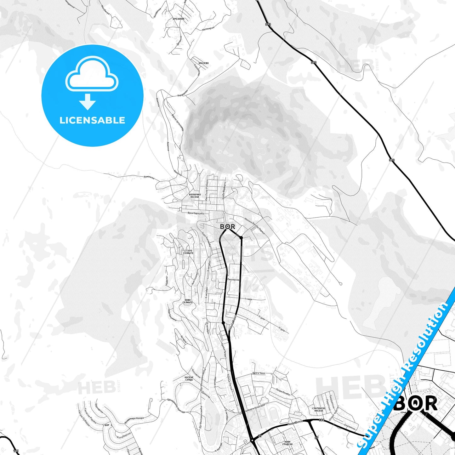 Bor, Serbia Light Map with Street Names, City Names, and Districts