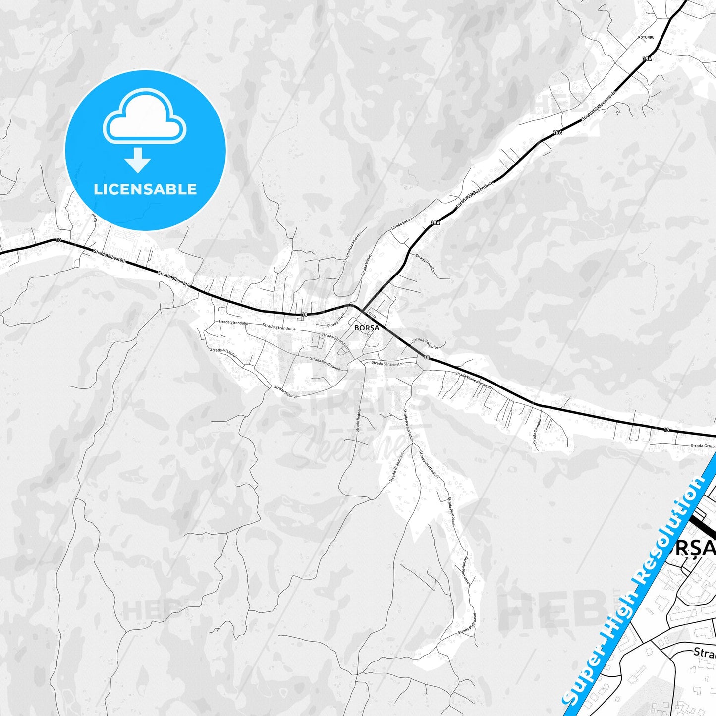 Borșa, Romania Light Map with Street Names, City Names, and Districts