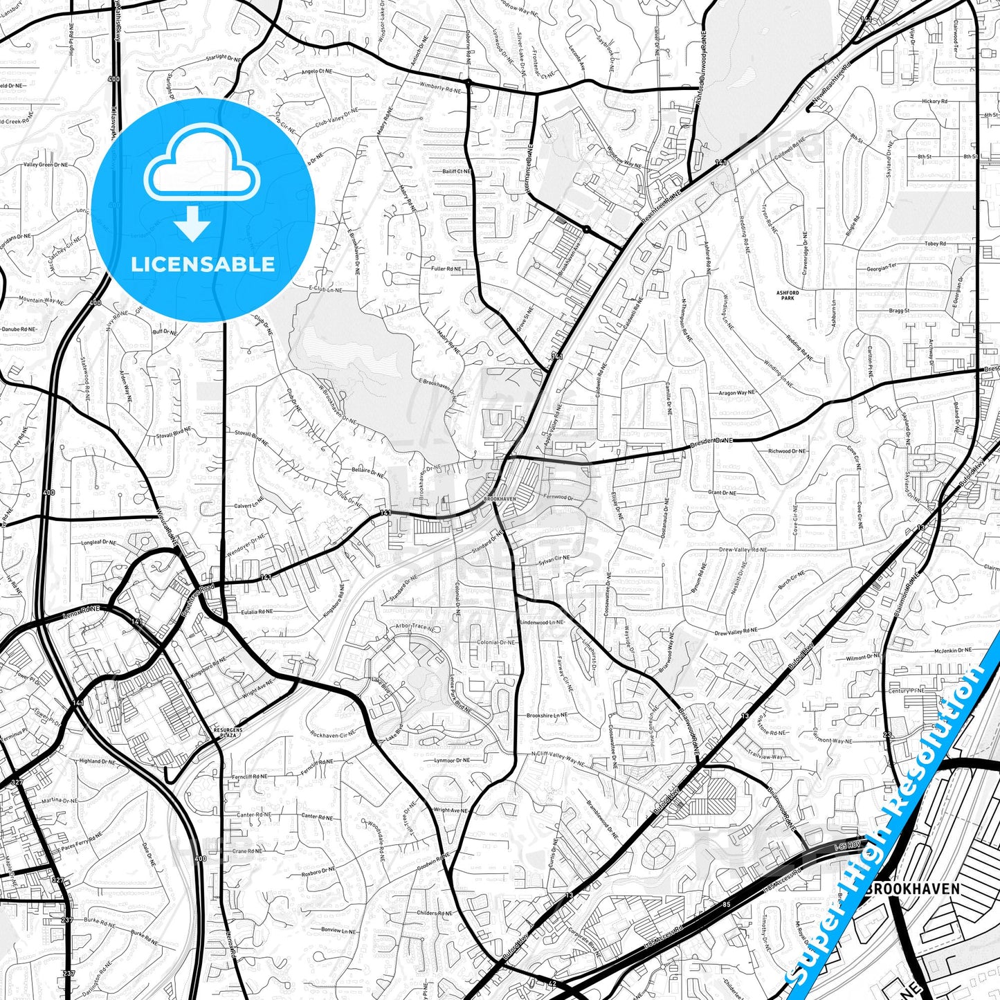 Brookhaven, Georgia Light Map with Street Names, City Names, and Districts