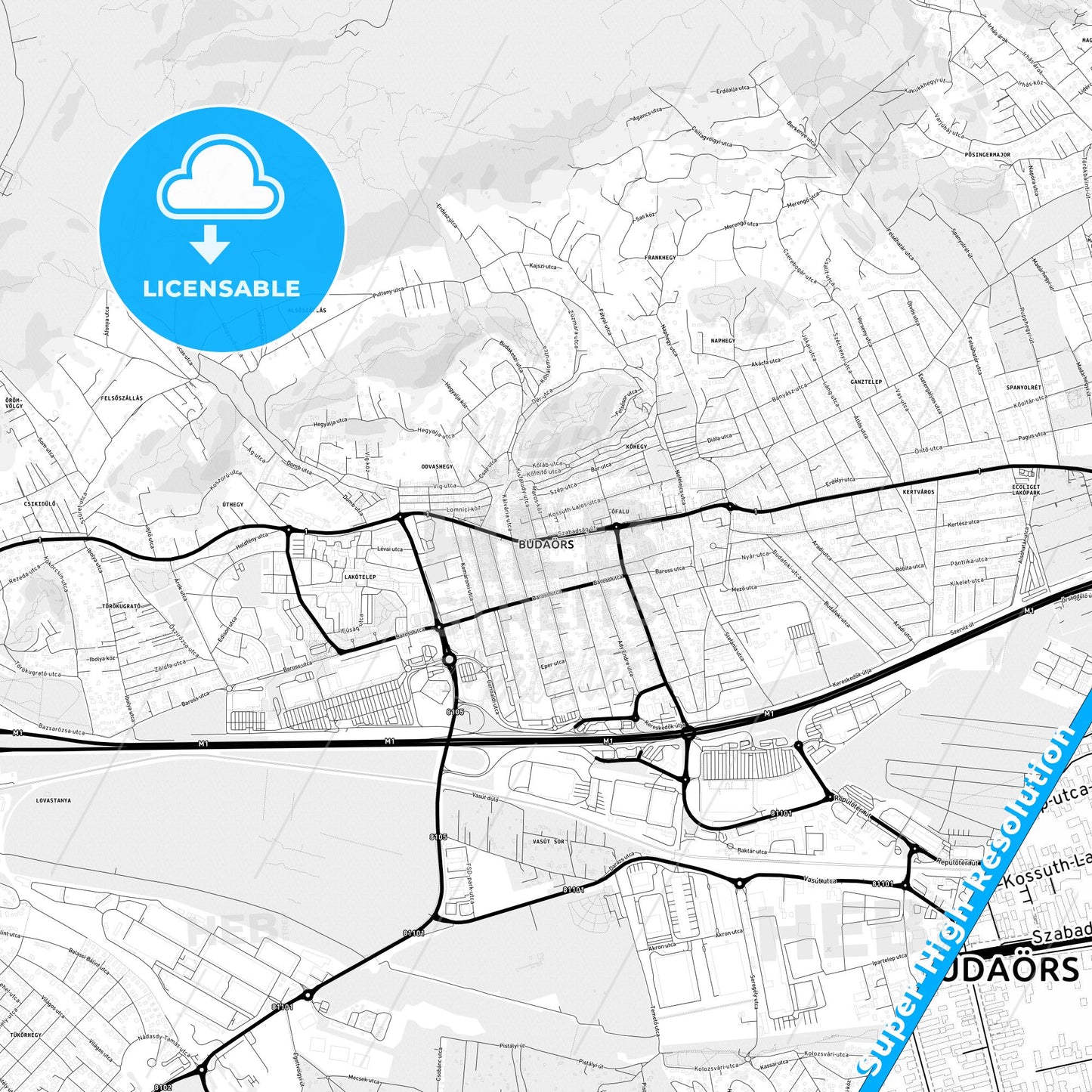 Budaörs, Hungary Light Map with Street Names, City Names, and Districts