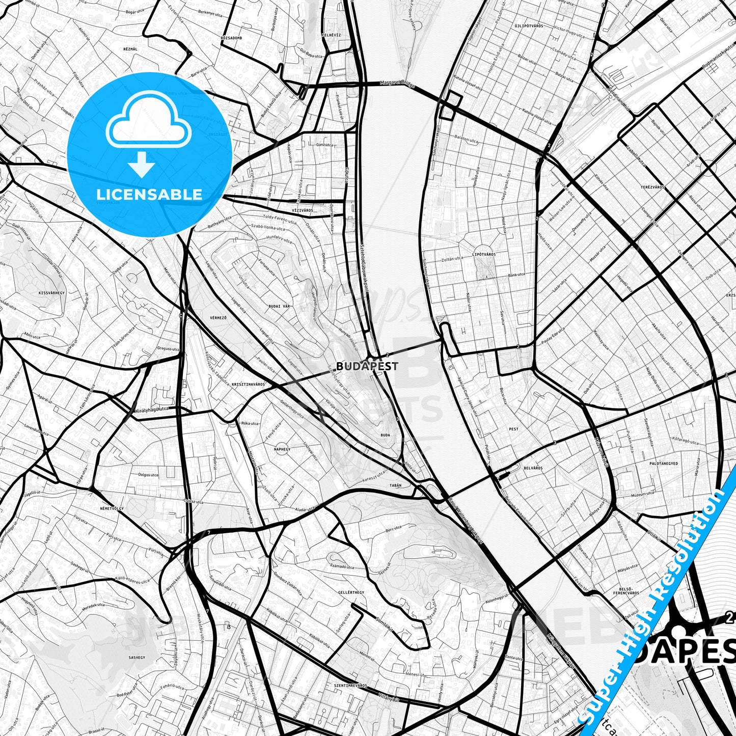 Budapest, Hungary Light Map with Street Names, City Names, and Districts