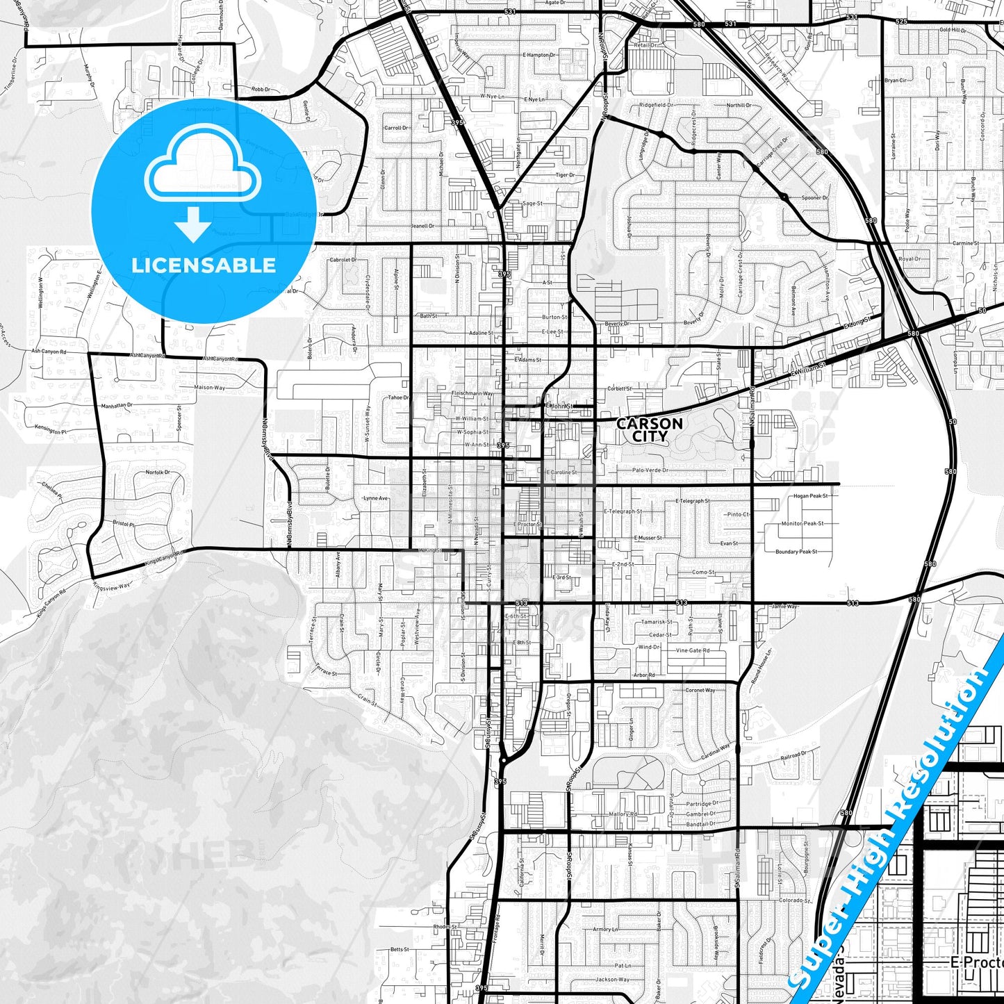 Carson City, Nevada Light Map with Street Names, City Names, and Districts