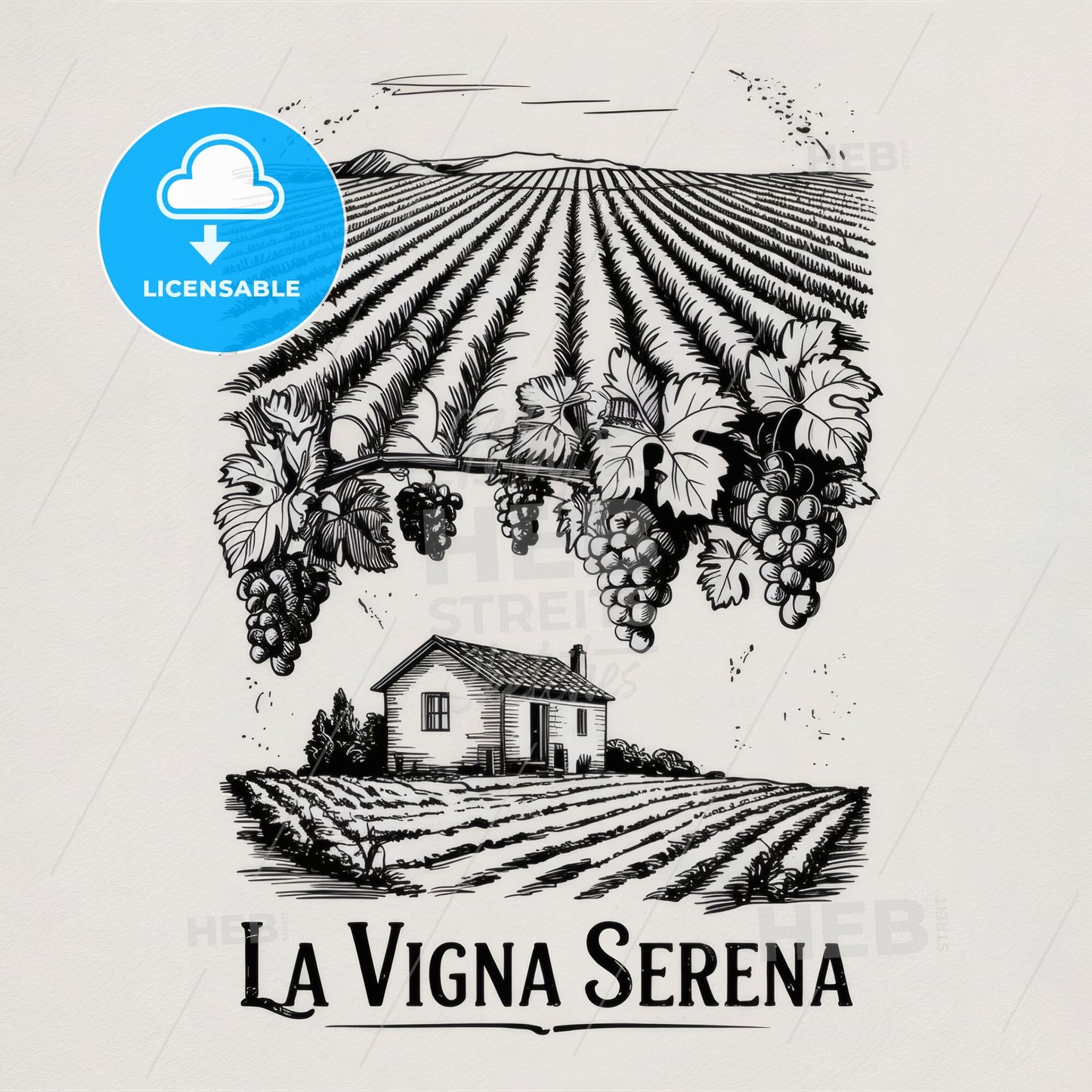 Charming Vineyard Landscape with Grapevines and Rustic House Illustration for Wine Branding.