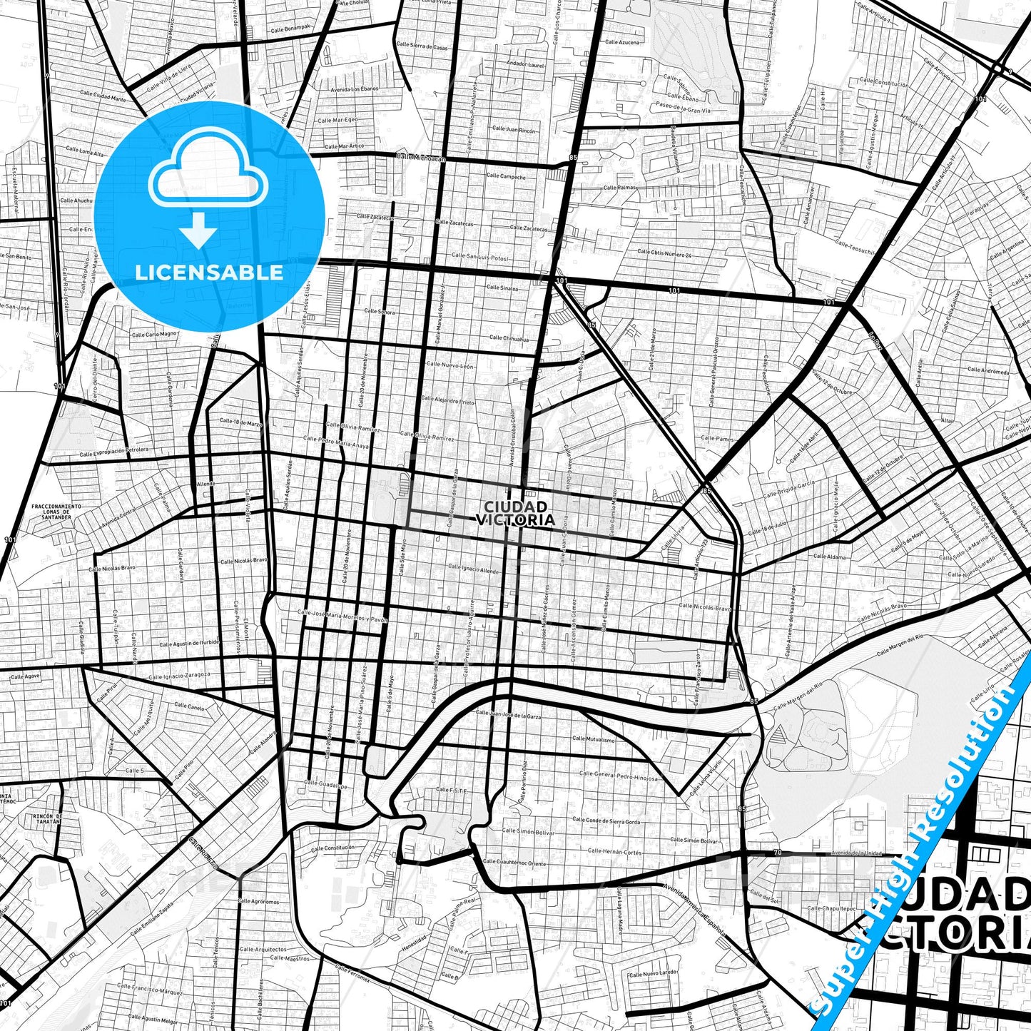 Ciudad Victoria, Mexico Light Map with Street Names, City Names, and Districts