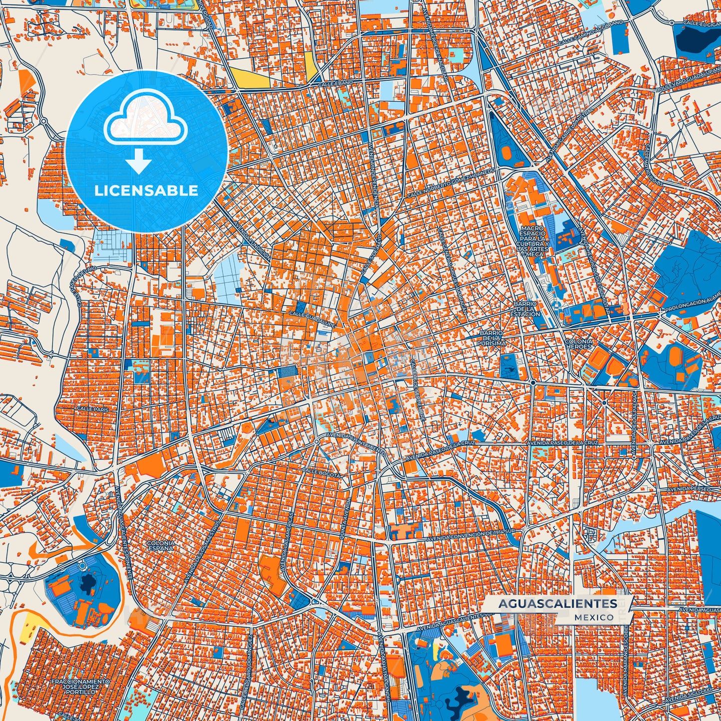 Canvas Print Template of Aguascalientes Street Map