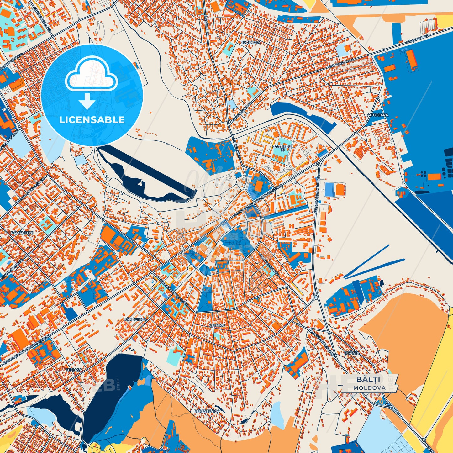 Canvas Print Template of Bălți Street Map