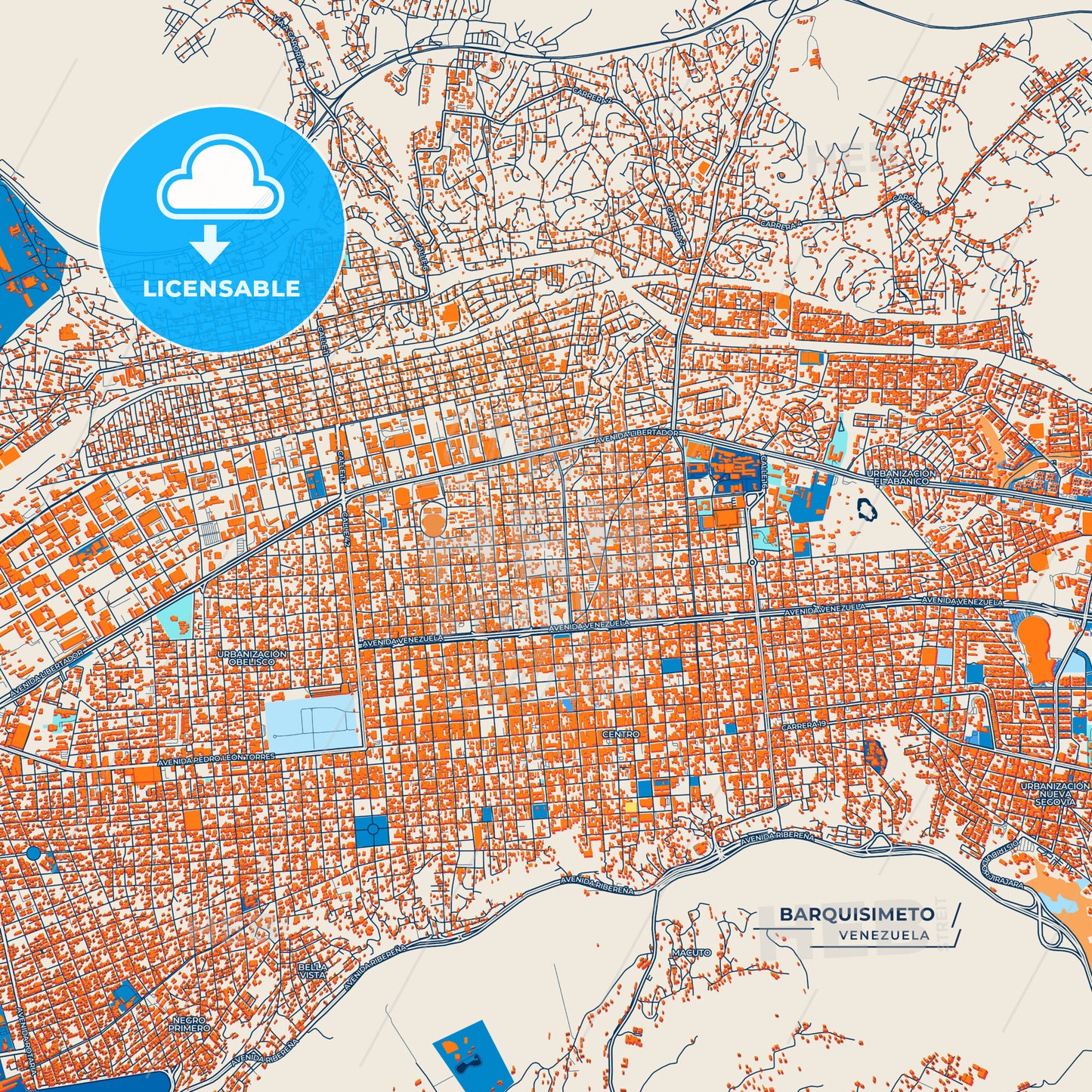 Canvas Print Template of Barquisimeto Street Map