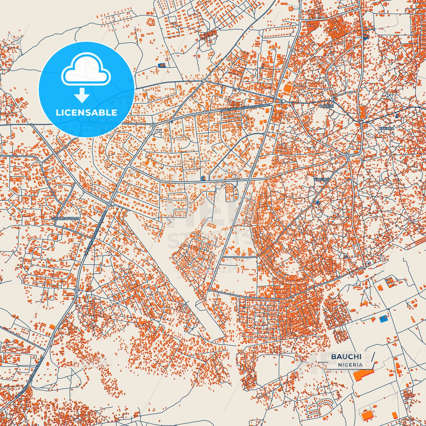 Canvas Print Template of Bauchi Street Map