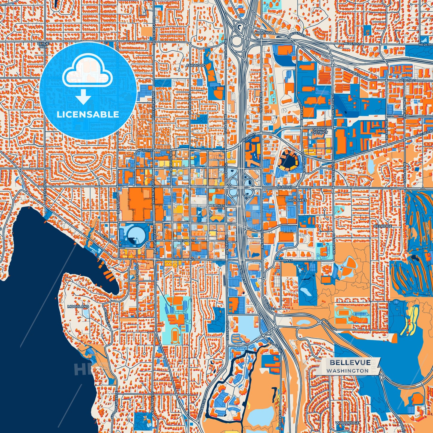 Canvas Print Template of Bellevue Street Map