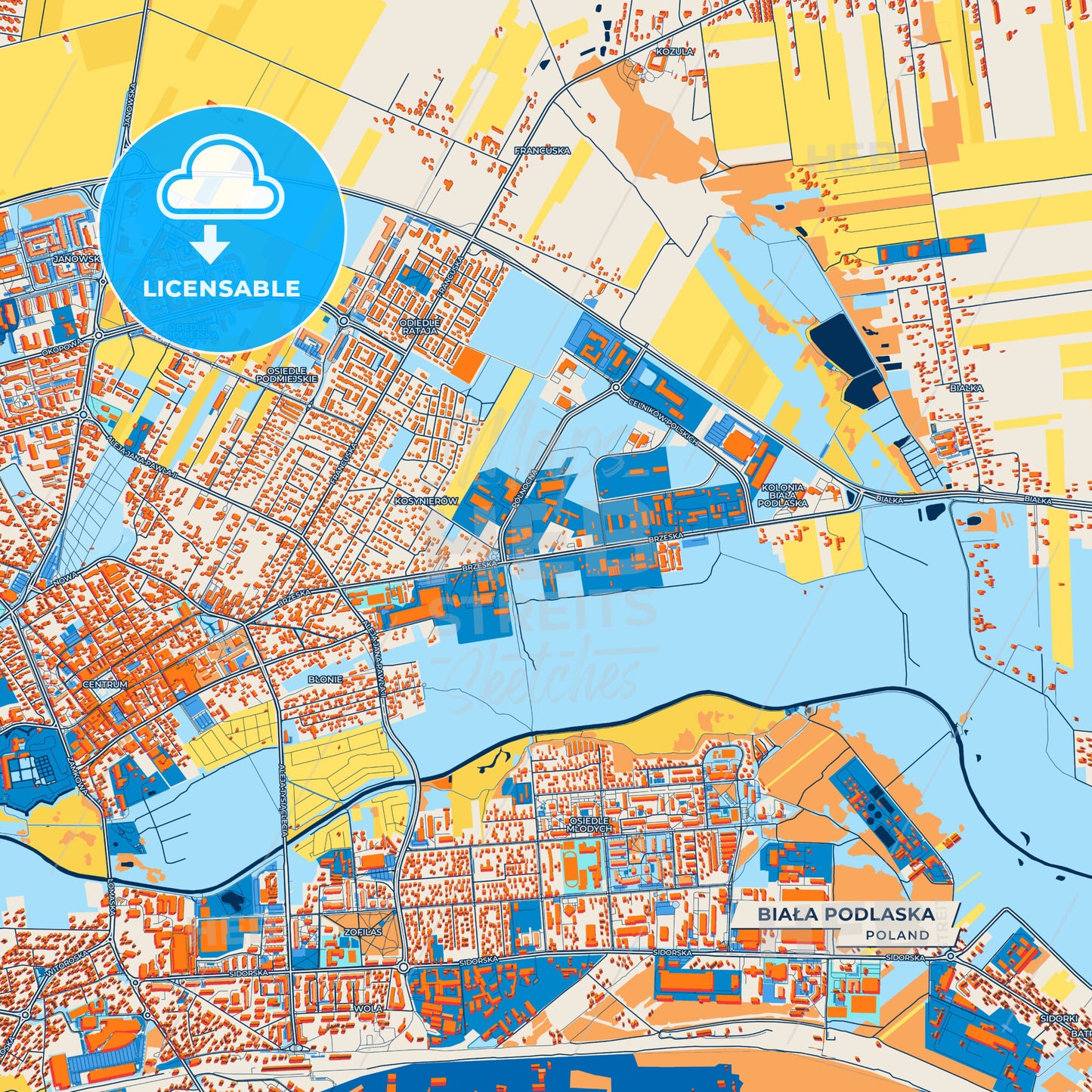 Canvas Print Template of Biała Podlaska Street Map