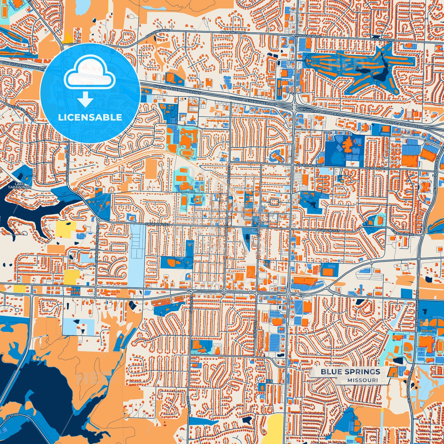 Canvas Print Template of Blue Springs Street Map