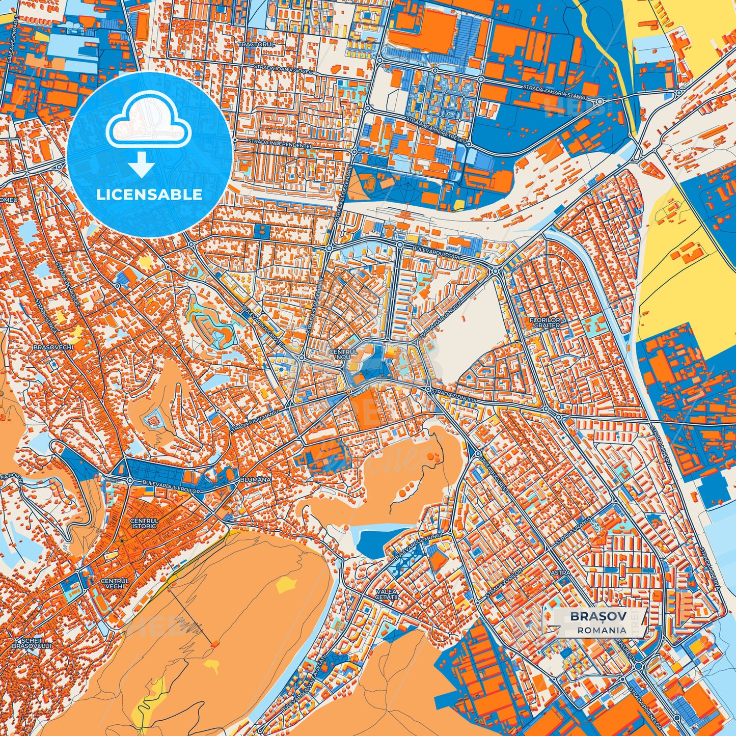 Canvas Print Template of Brașov Street Map