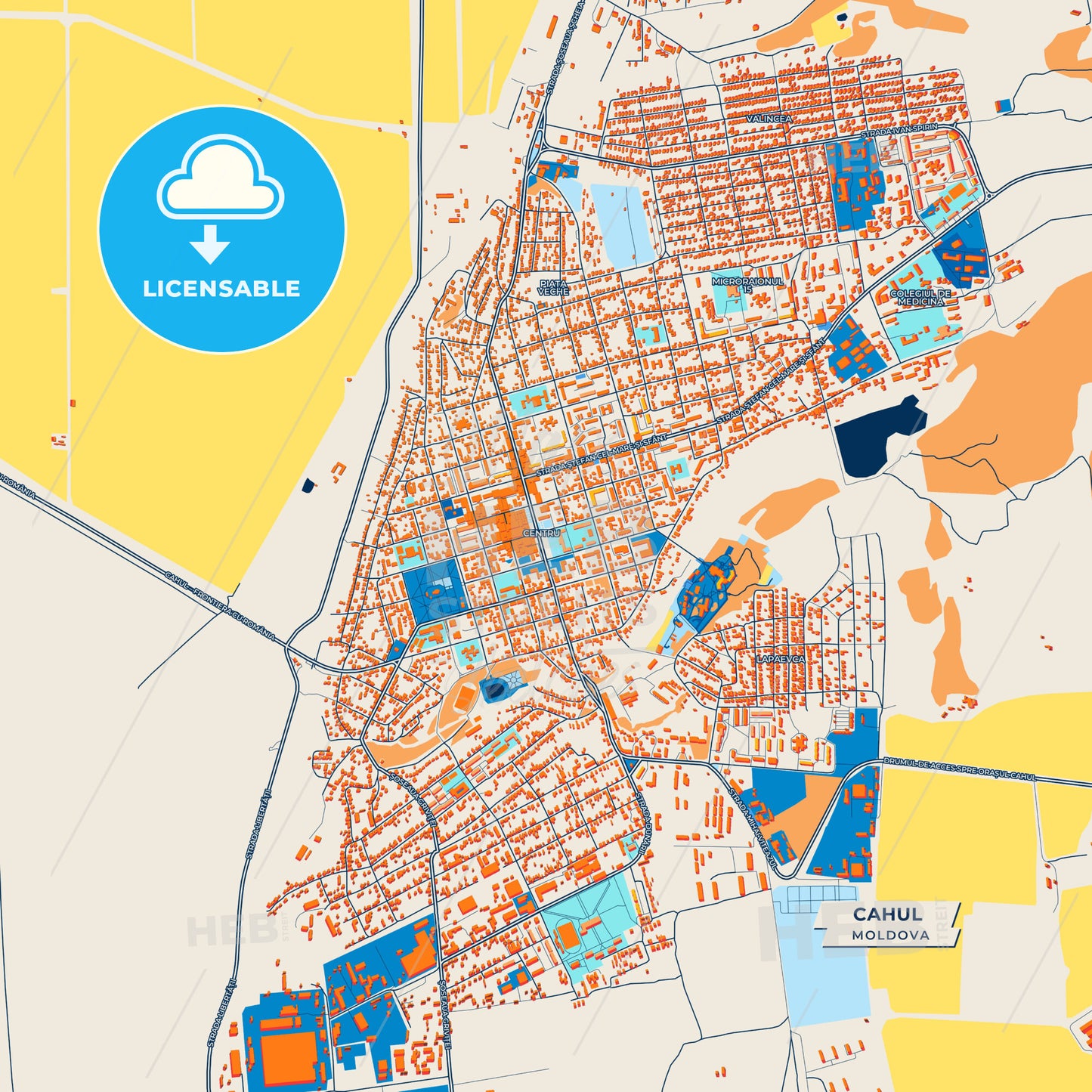 Canvas Print Template of Cahul Street Map