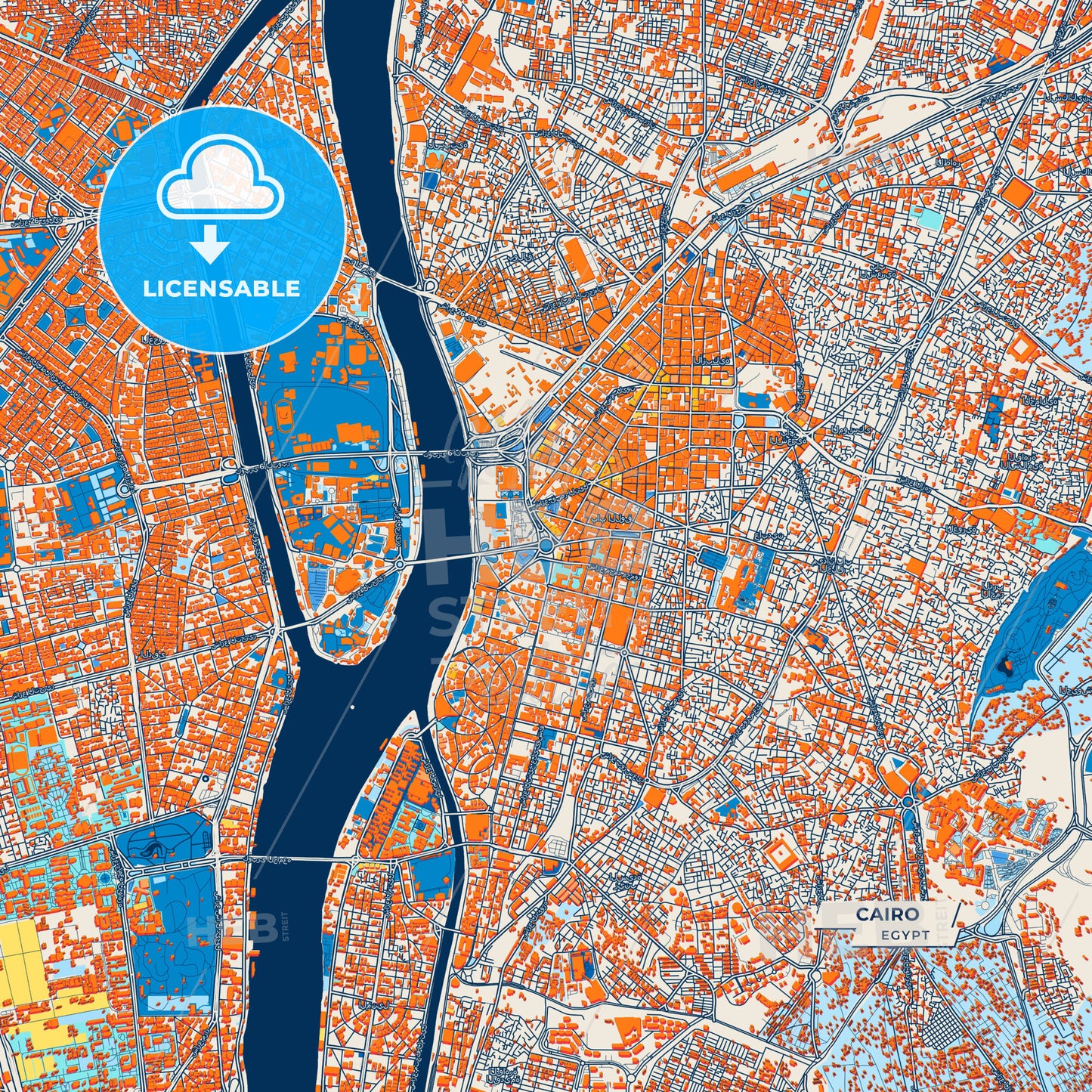 Canvas Print Template of Cairo Street Map