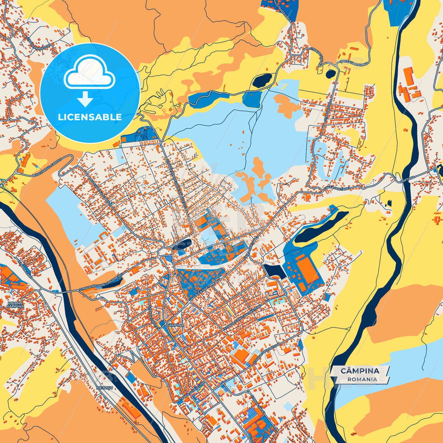 Canvas Print Template of Câmpina Street Map