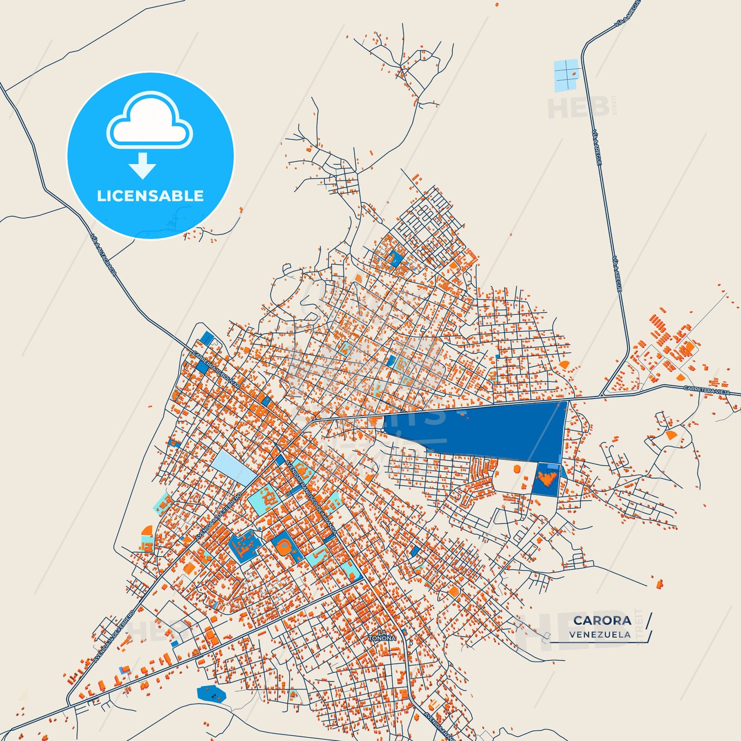 Canvas Print Template of Carora Street Map