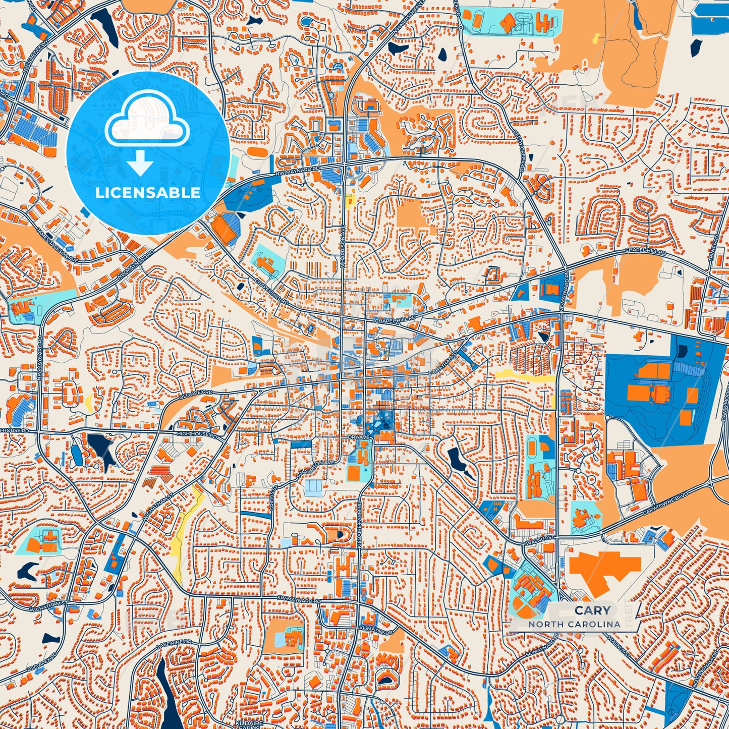 Canvas Print Template of Cary Street Map
