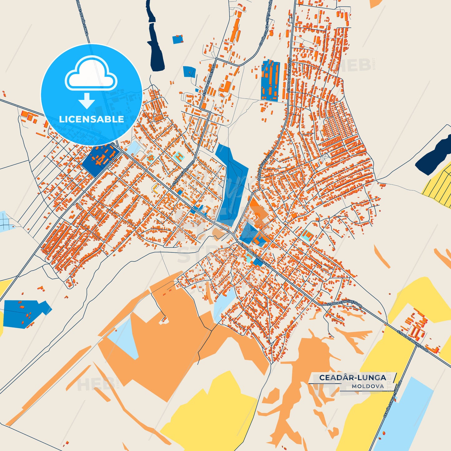 Canvas Print Template of Ceadâr-Lunga Street Map