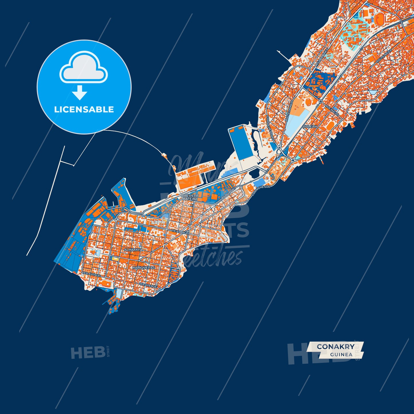 Canvas Print Template of Conakry Street Map