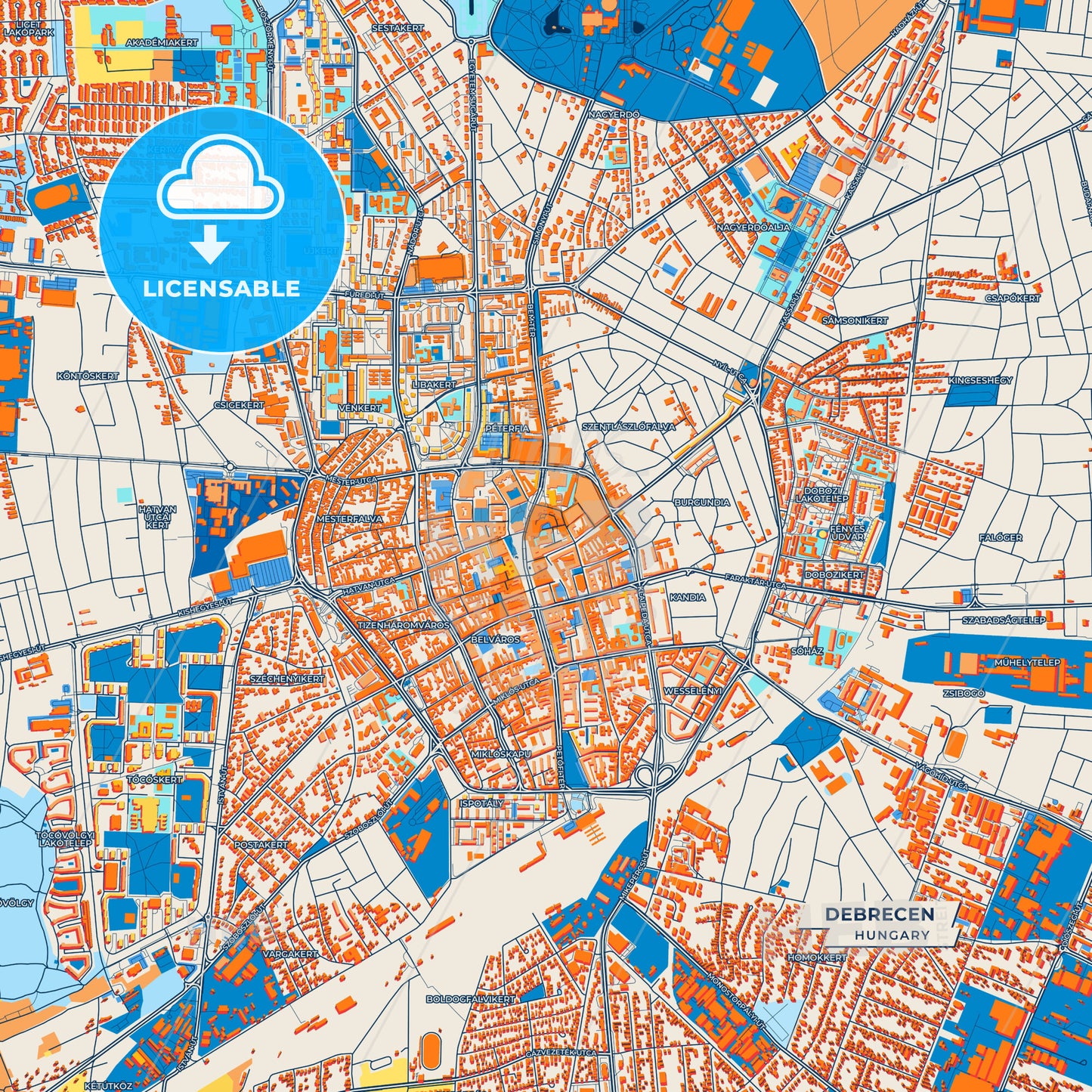 Canvas Print Template of Debrecen Street Map