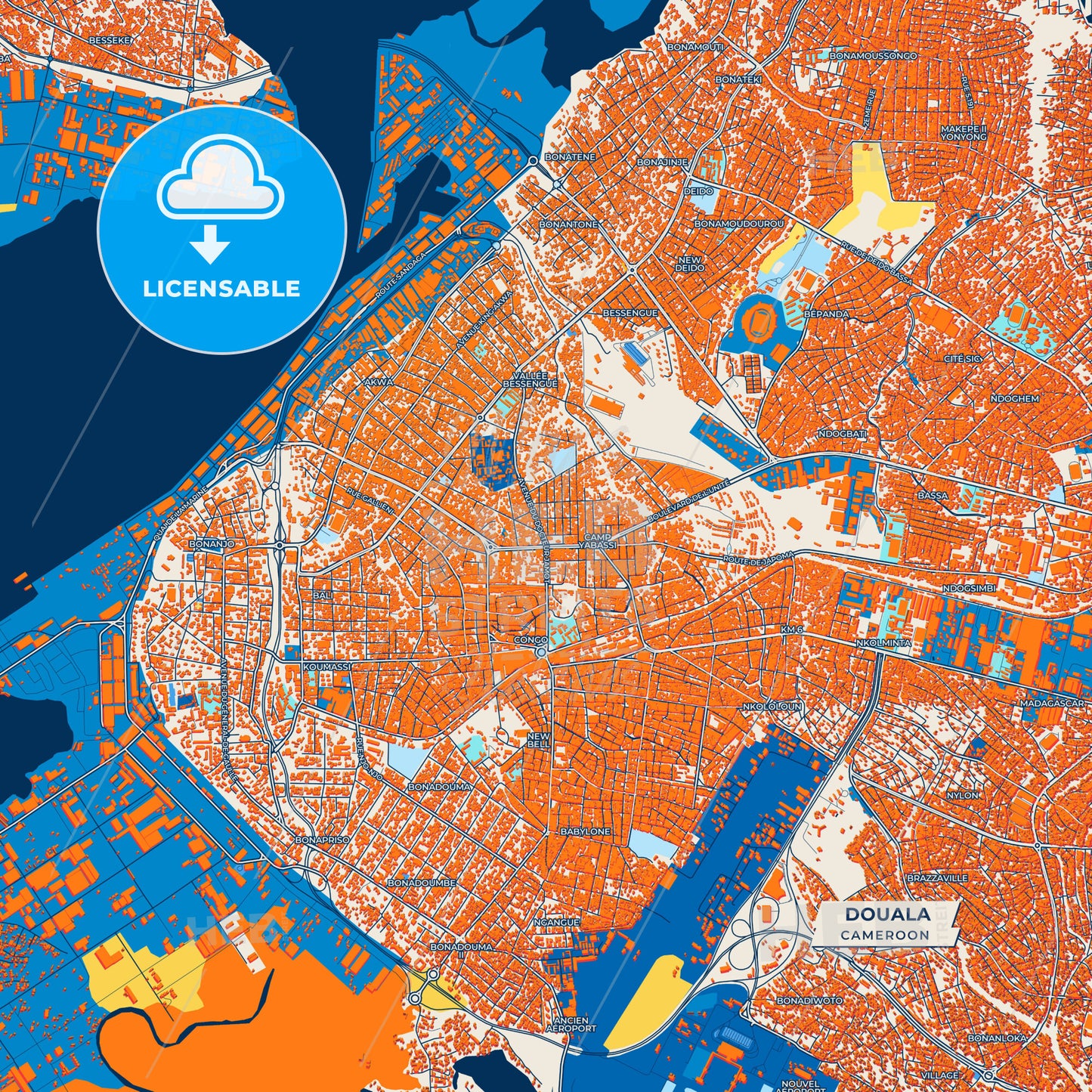 Canvas Print Template of Douala Street Map