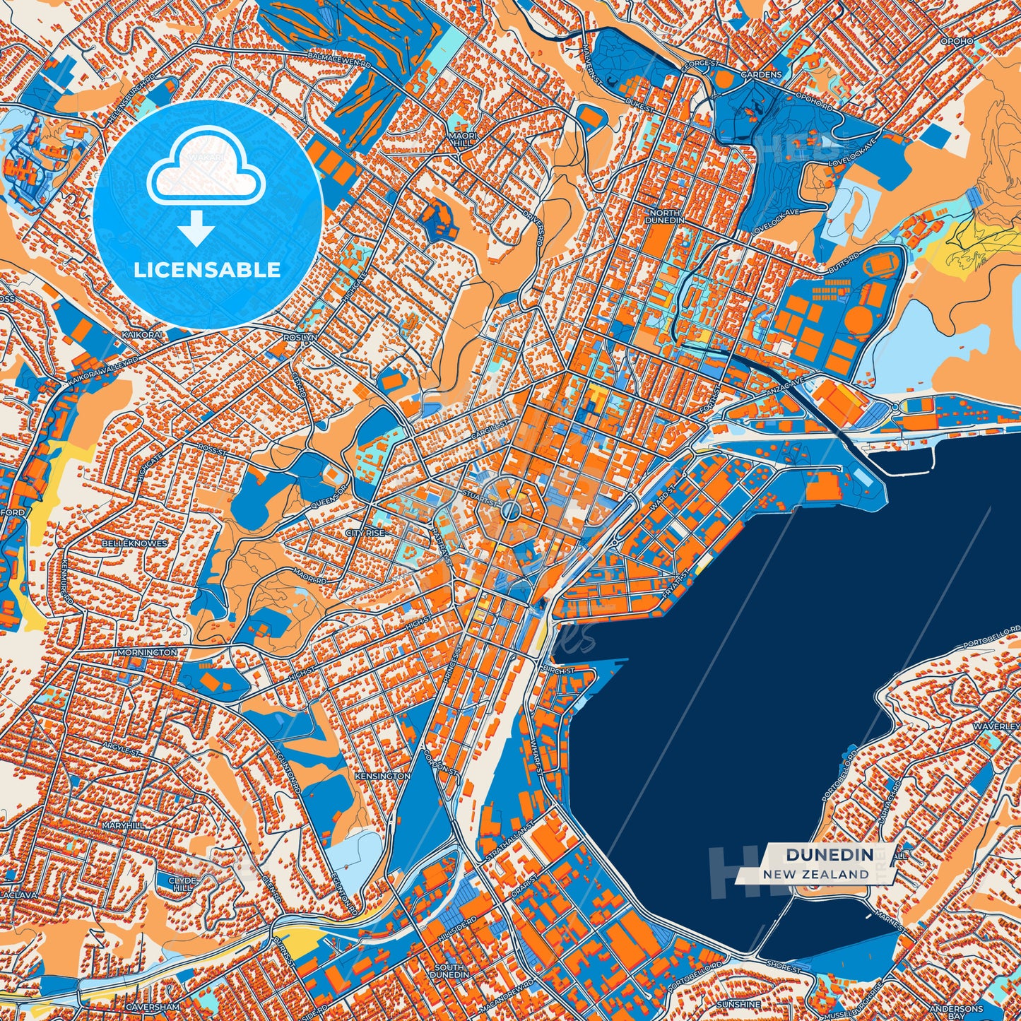 Canvas Print Template of Dunedin Street Map