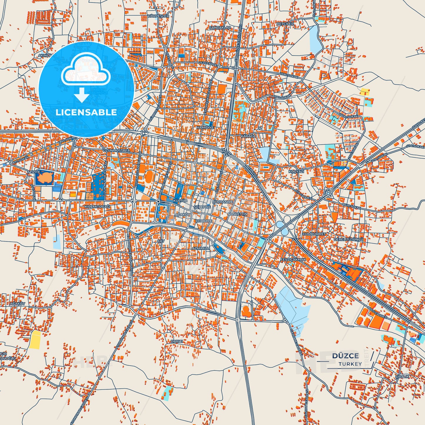 Canvas Print Template of Düzce Street Map