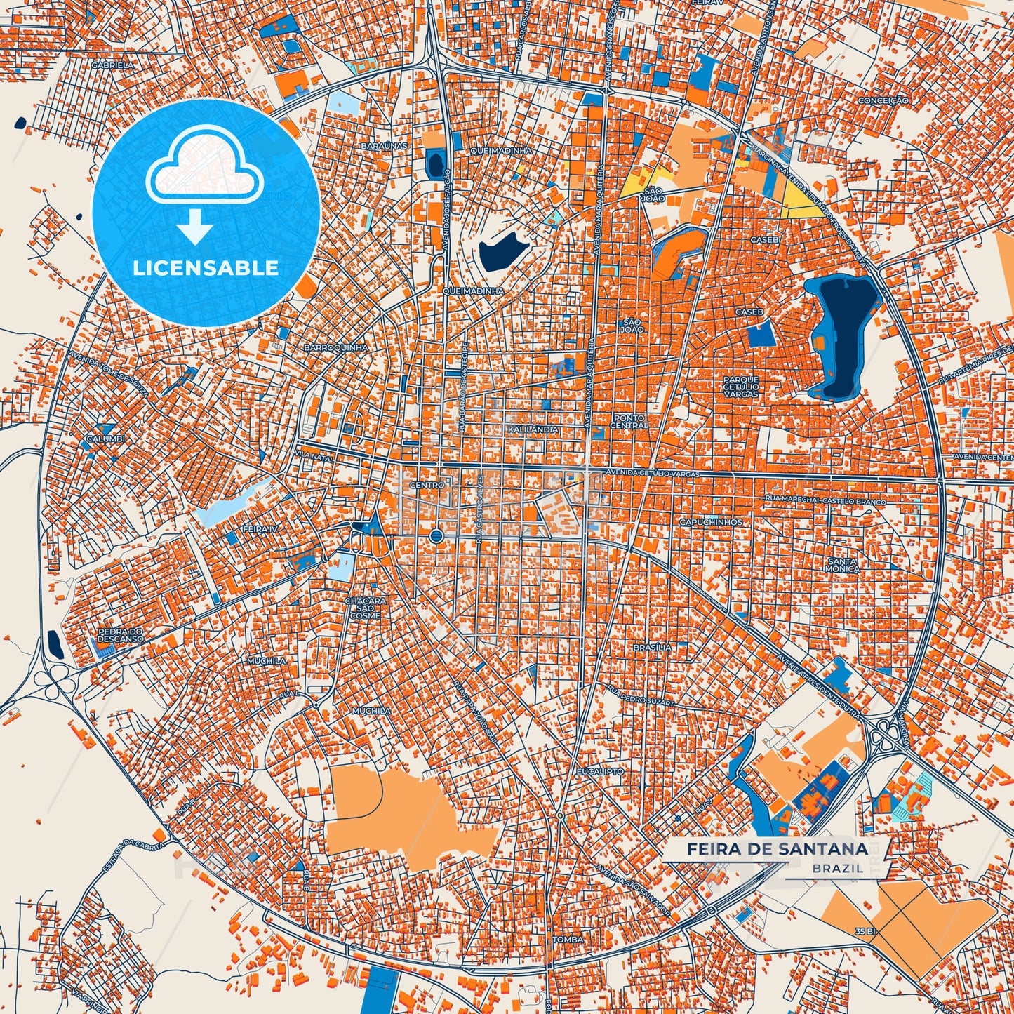 Canvas Print Template of Feira de Santana Street Map