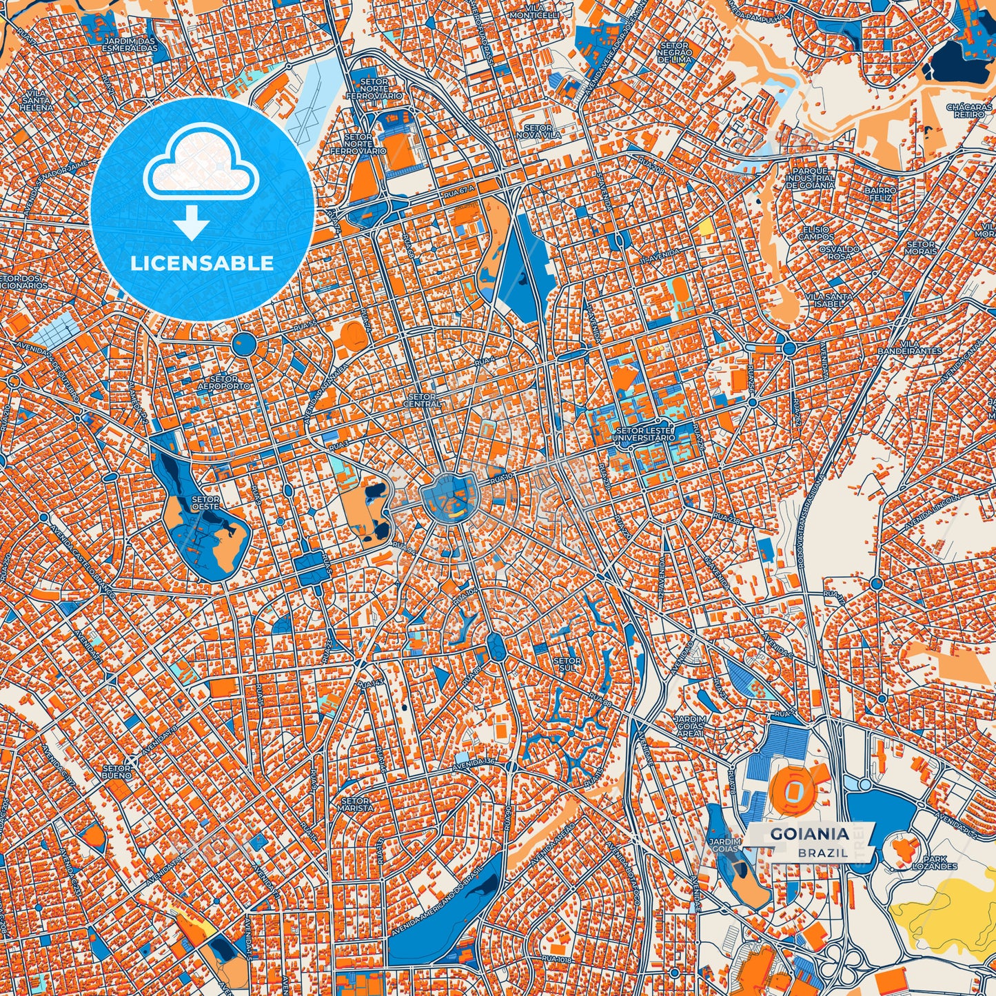 Canvas Print Template of Goiania Street Map