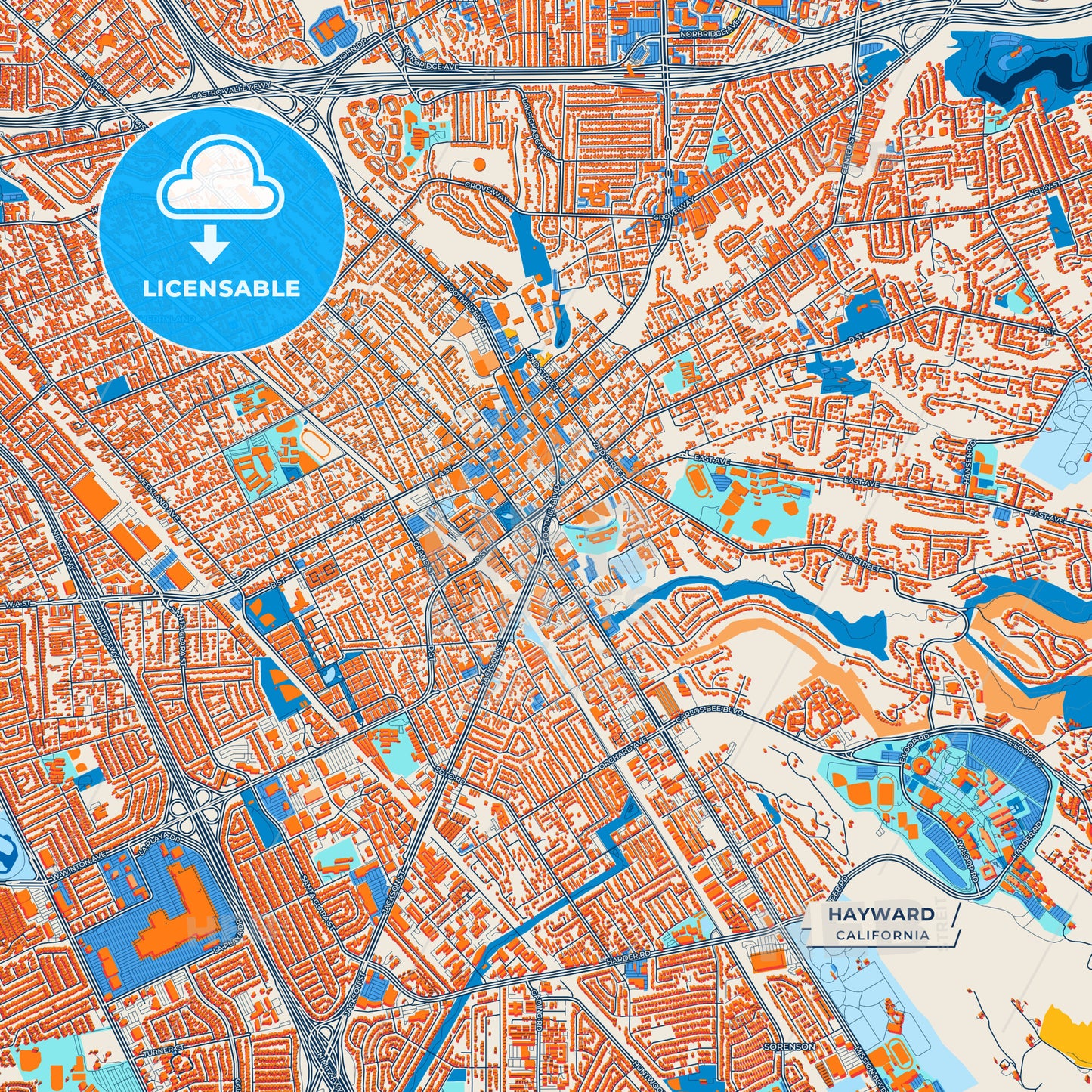 Canvas Print Template of Hayward Street Map