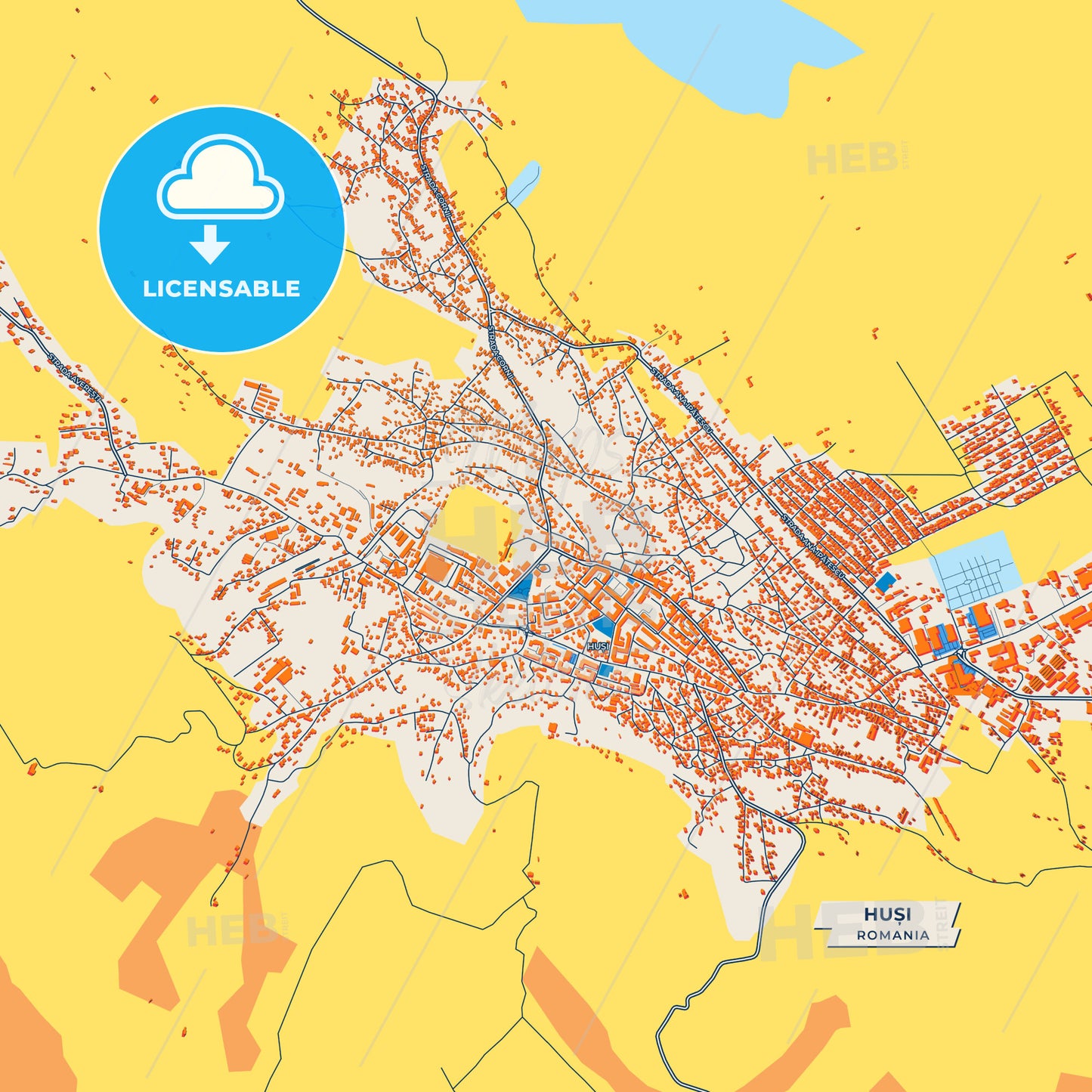 Canvas Print Template of Huși Street Map